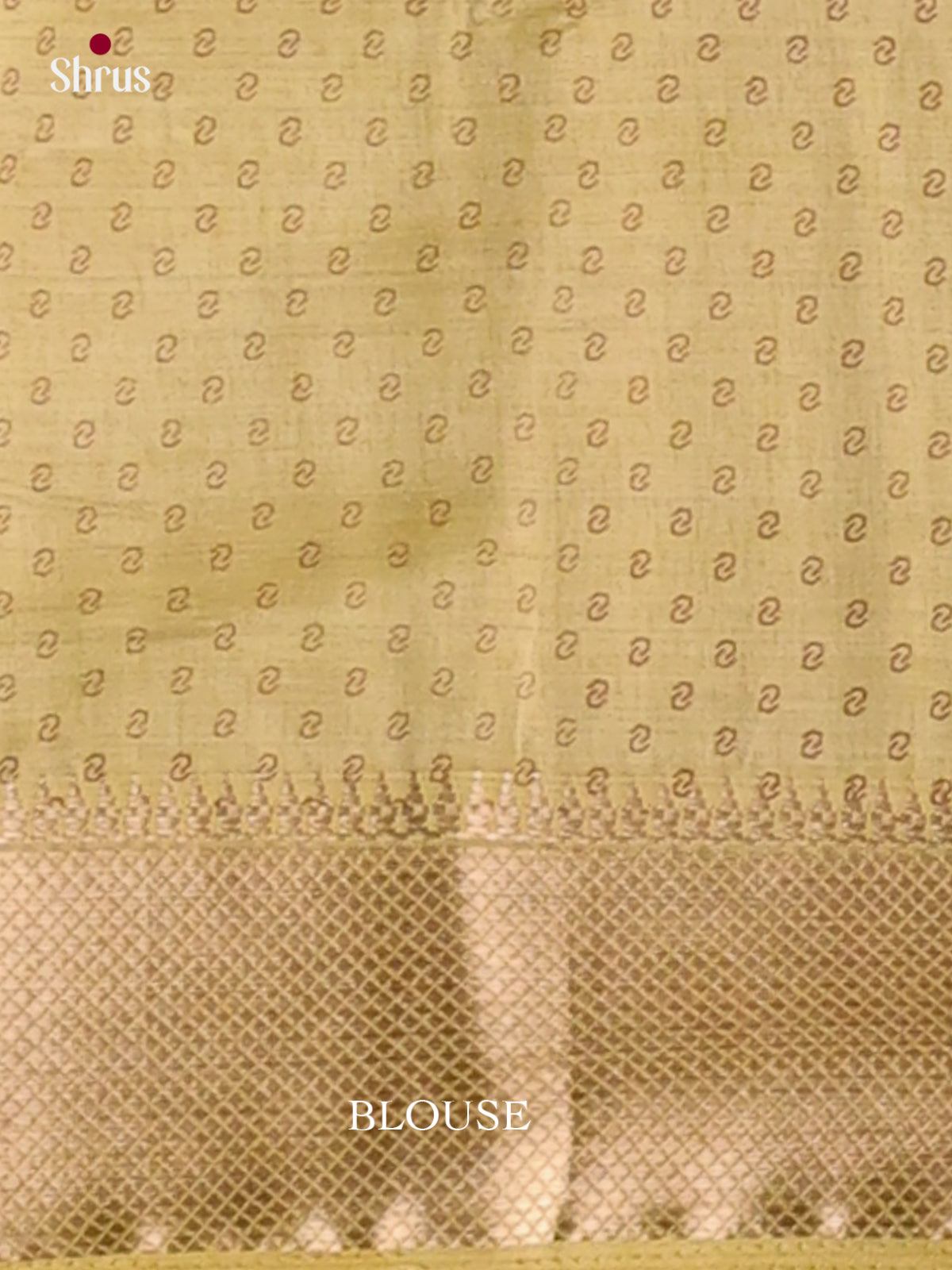 Semi Rawsilk Saree - EGS10165