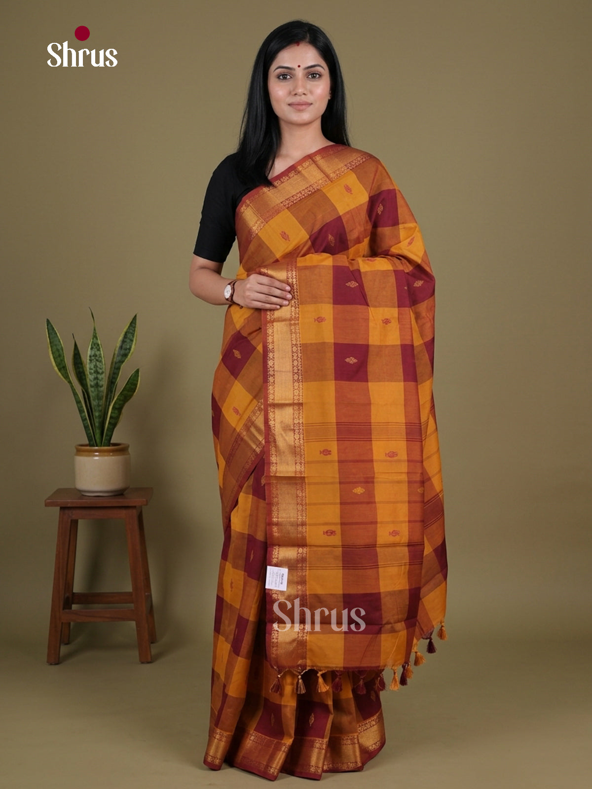 Chettinad Mix Cotton Saree - EGS10332