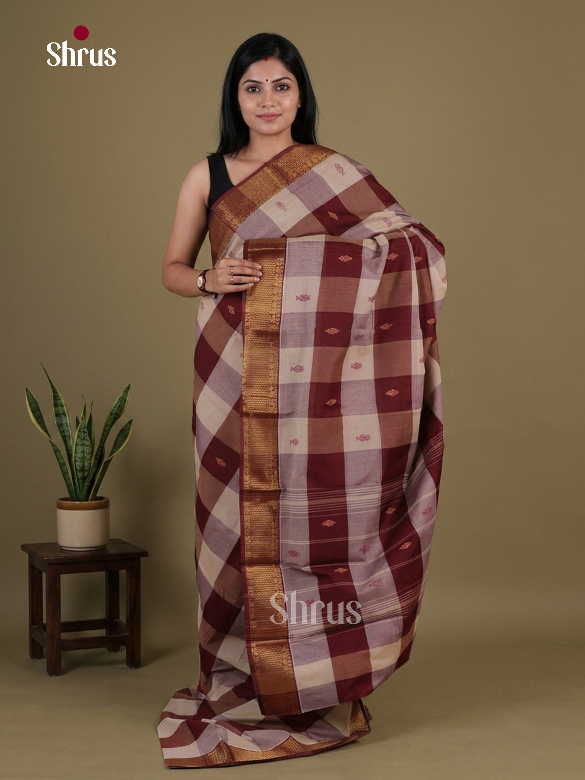 Chettinad Mix Cotton Saree - EGS10333