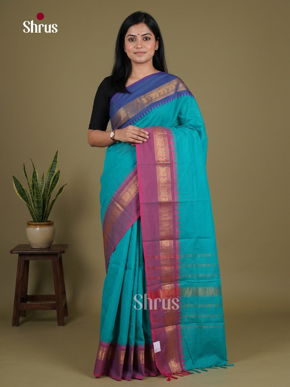 Chettinad Cotton Saree - EGS10363