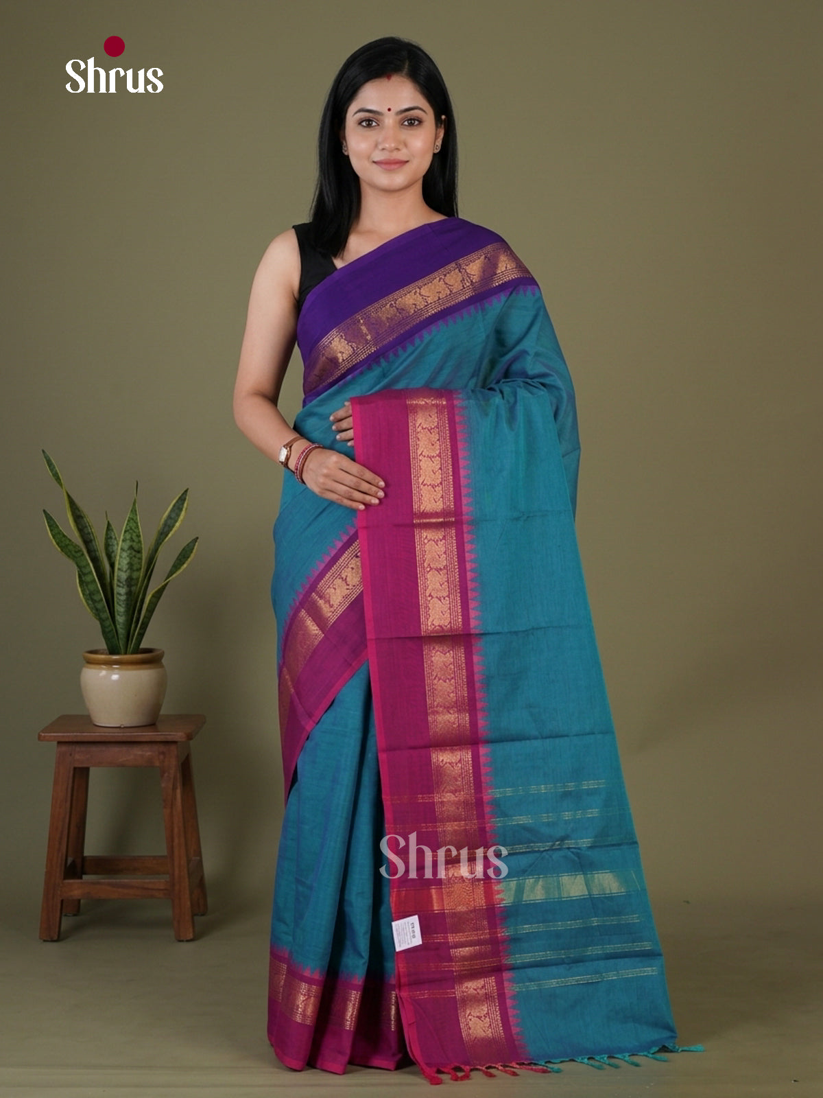 Chettinad Cotton Saree - EGS10365