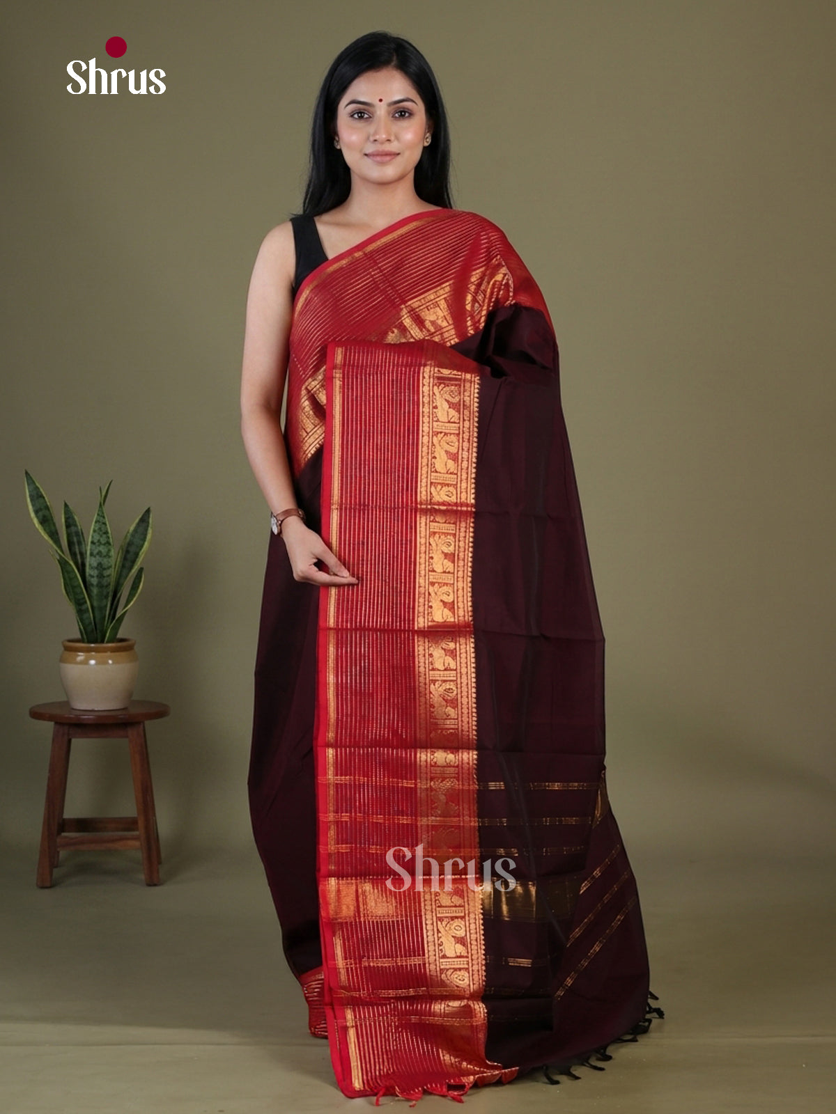 Chettinad Cotton Saree - EGS10376