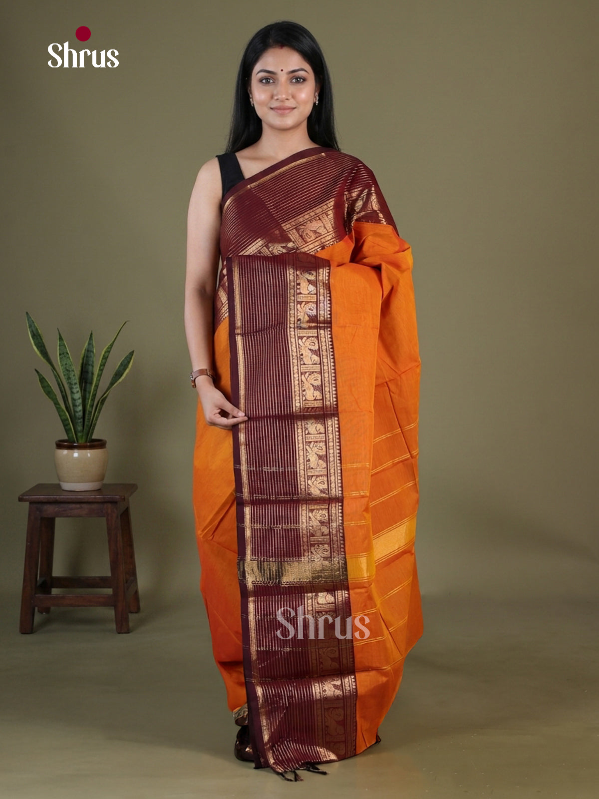 Chettinad Cotton Saree - EGS10377