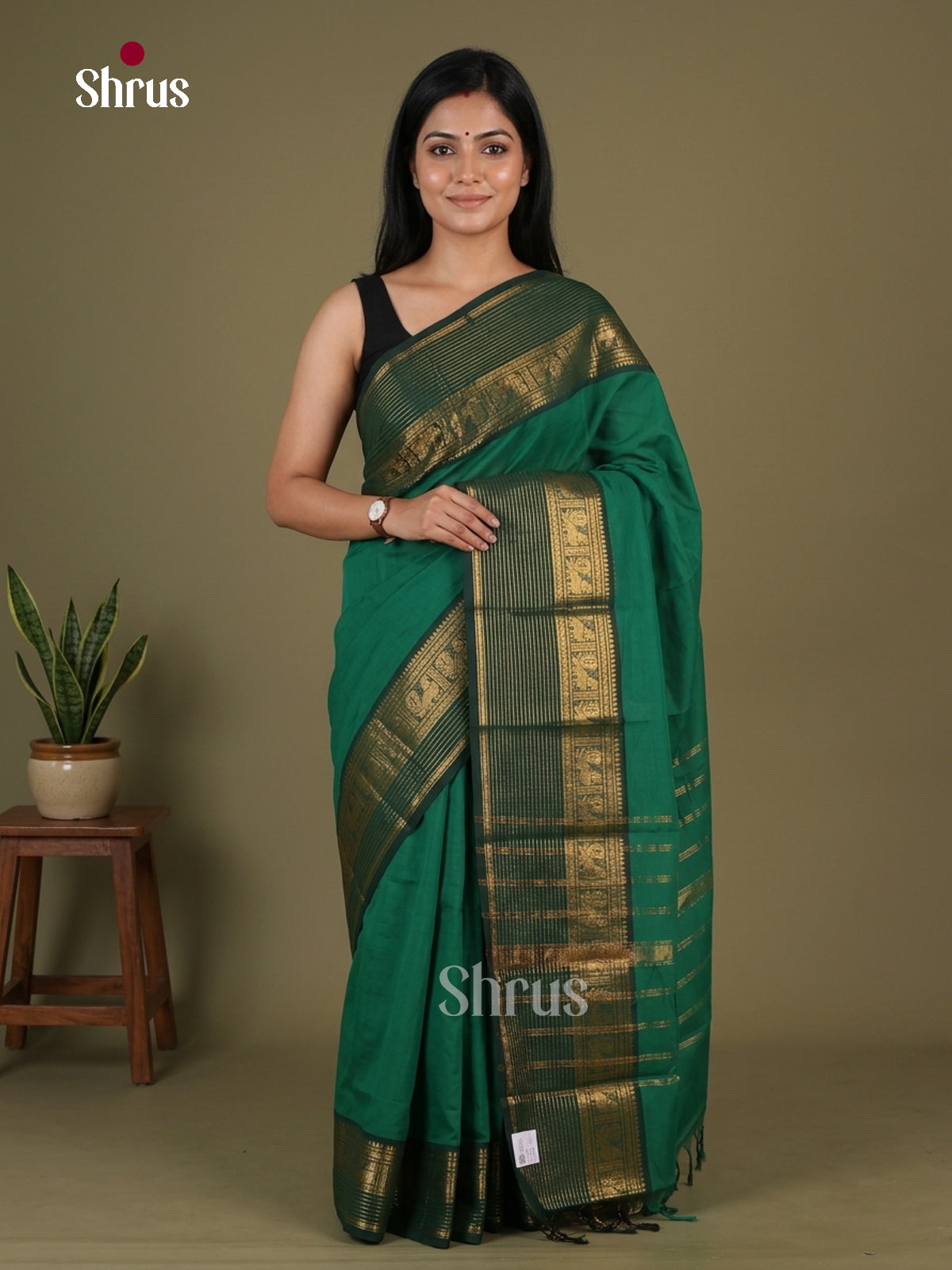 Chettinad Cotton Saree - EGS10379 - Shop on Shrus.com