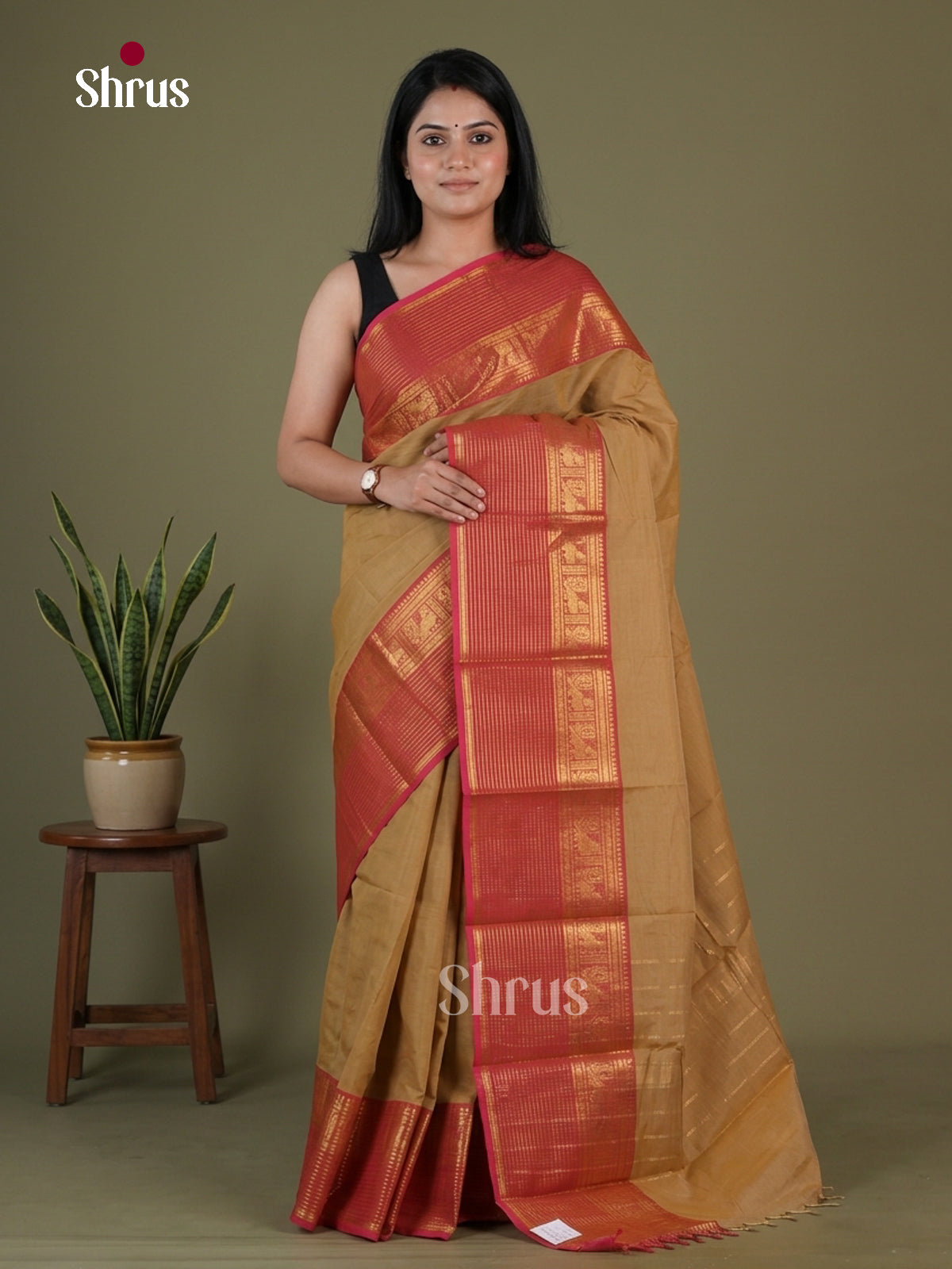 Chettinad Cotton Saree - EGS10380