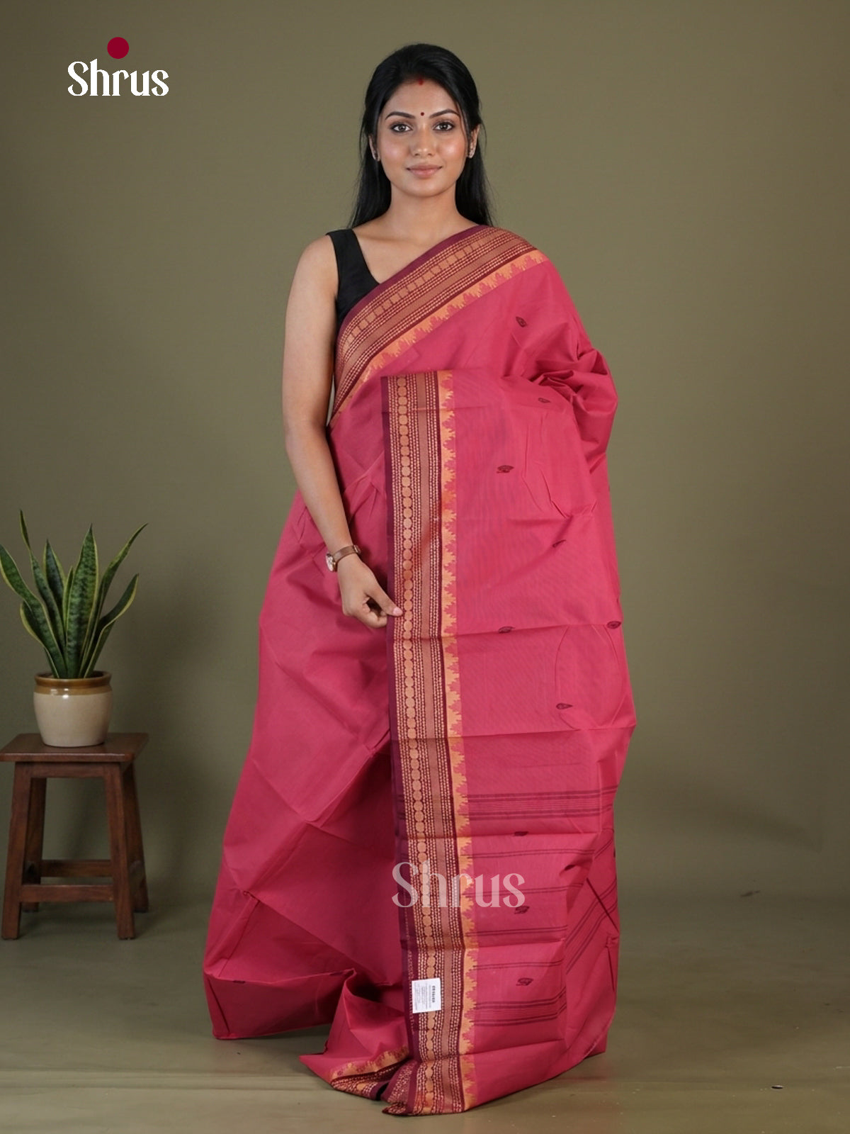 Chettinad Cotton Saree - EGS10384