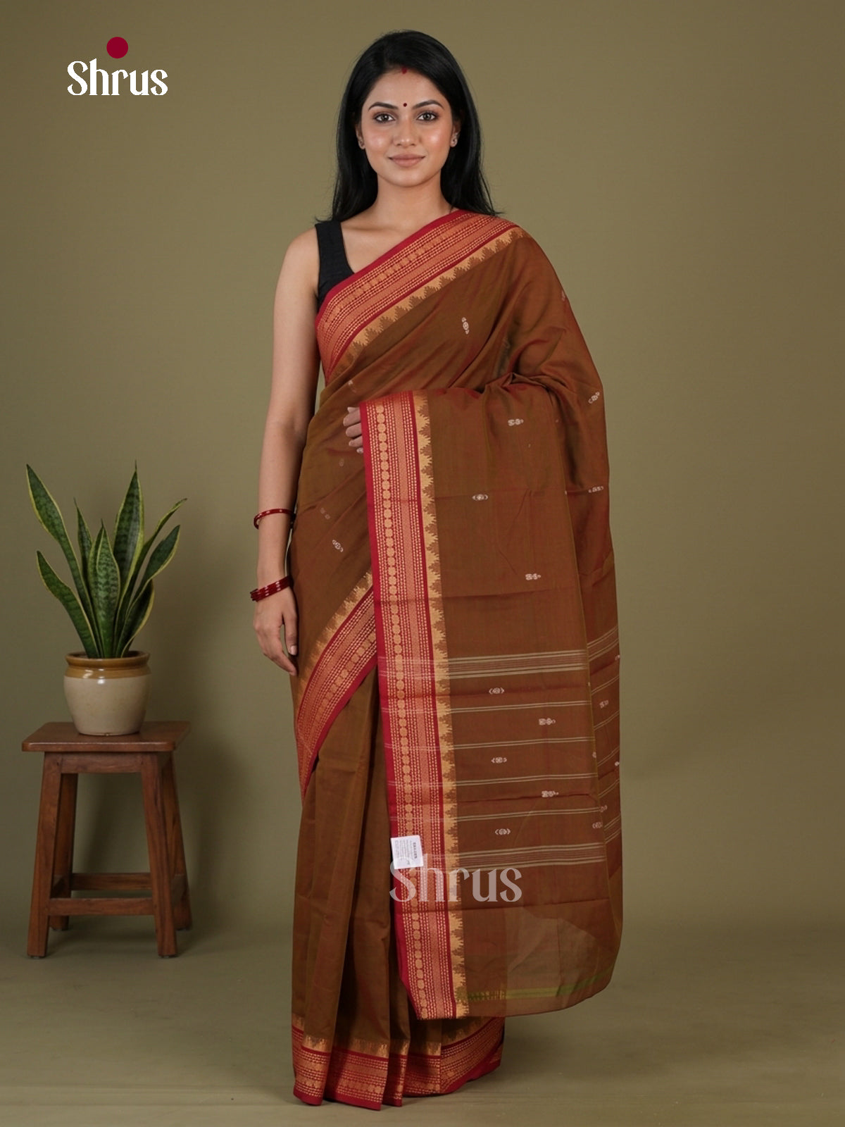 Chettinad Cotton Saree - EGS10385 - Shop on Shrus.com