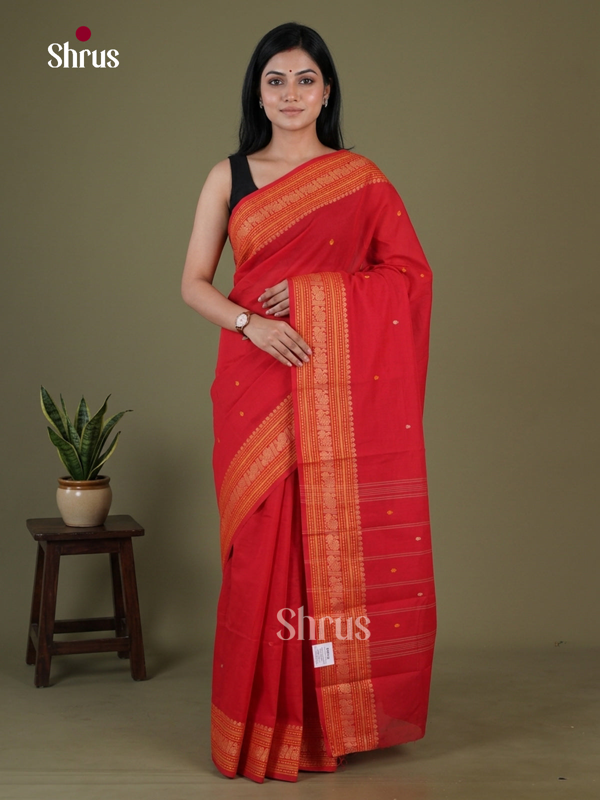Chettinad Cotton Saree - EGS10393