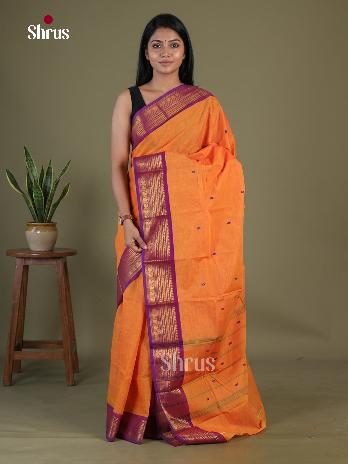 Chettinad Cotton Saree - EGS11017