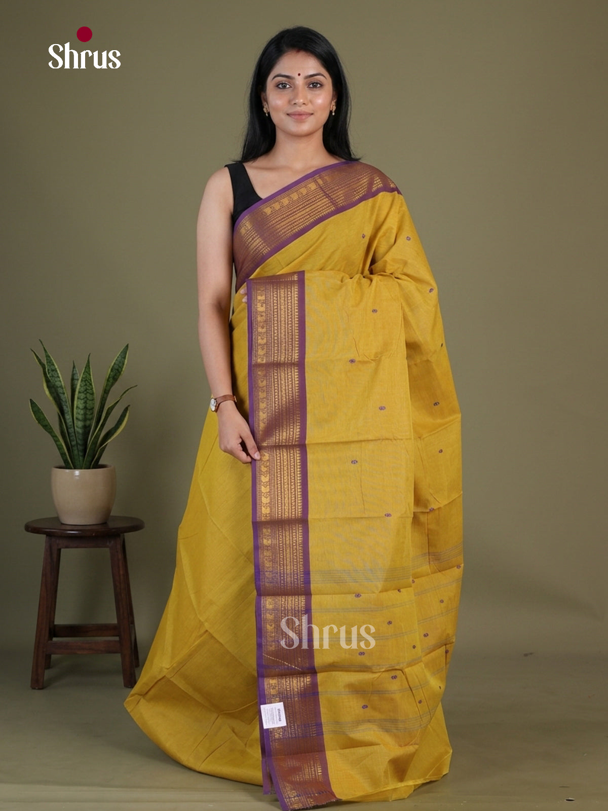 Chettinad Cotton Saree - EGS11023