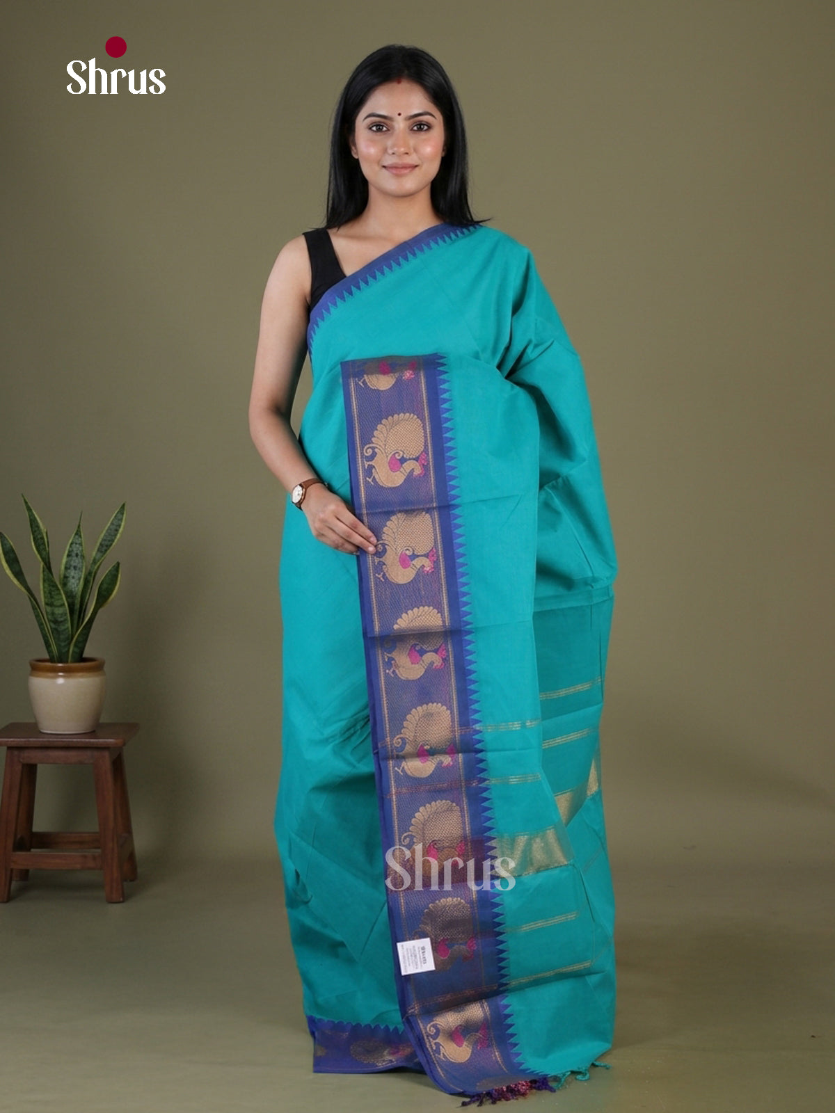 Chettinad Cotton Saree - EGS11028