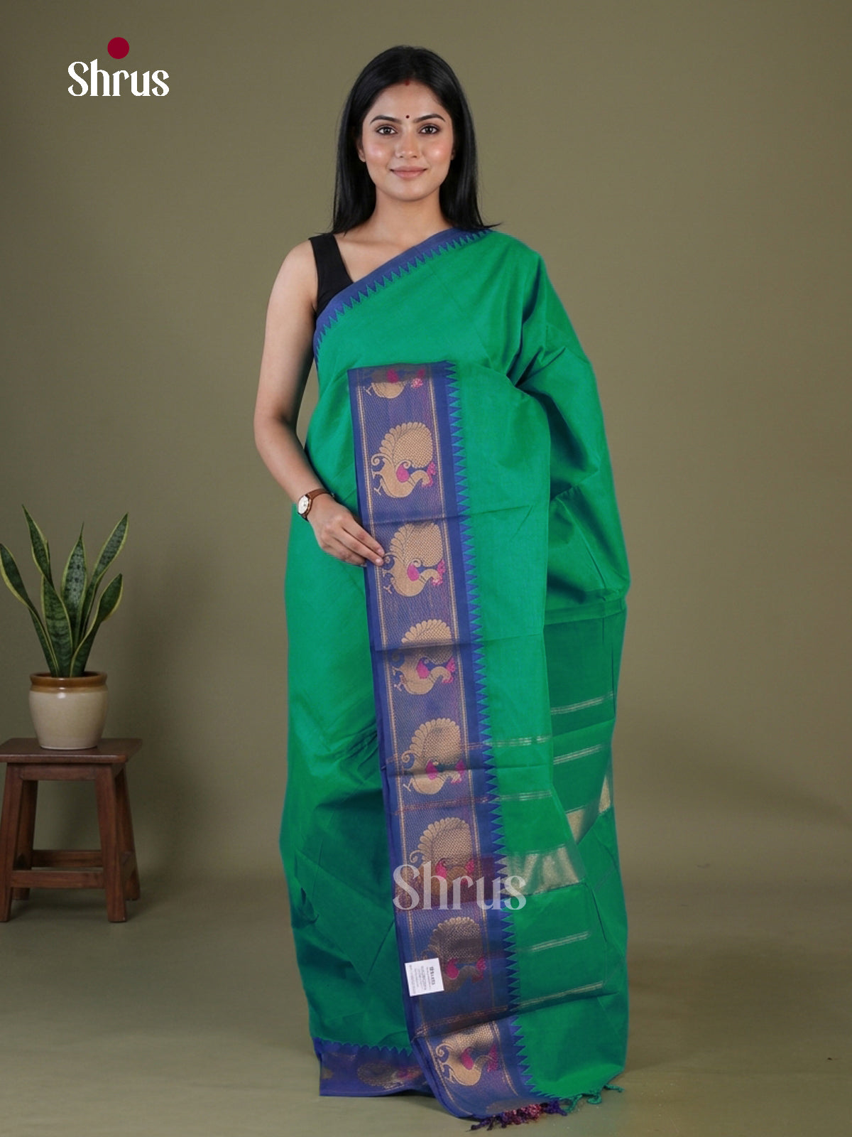 Chettinad Cotton Saree - EGS11028