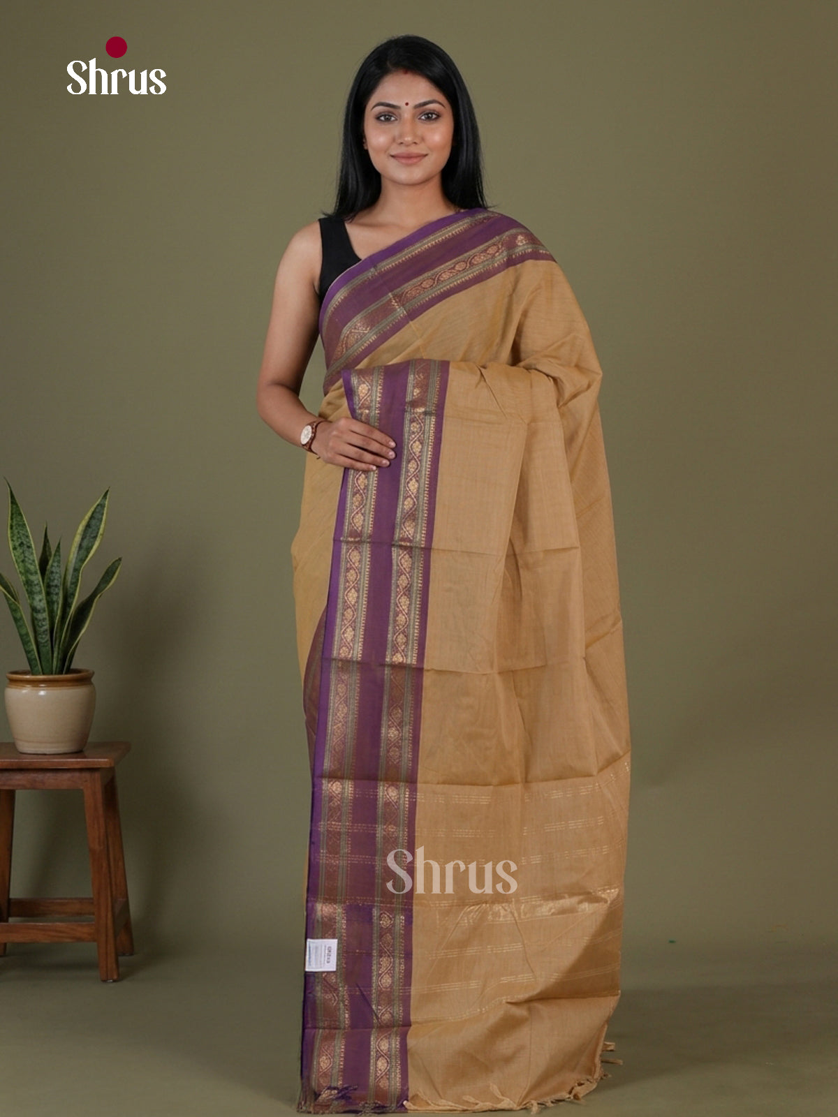Chettinad Cotton Saree - EGS11033