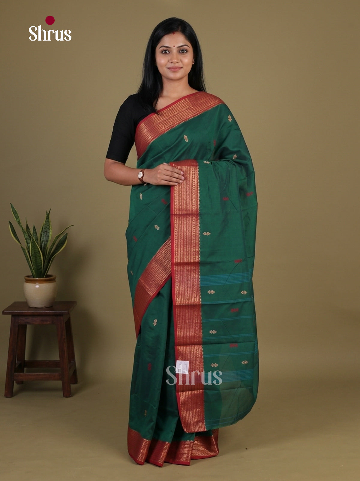 Chettinad Mix Cotton Saree - EGS11040