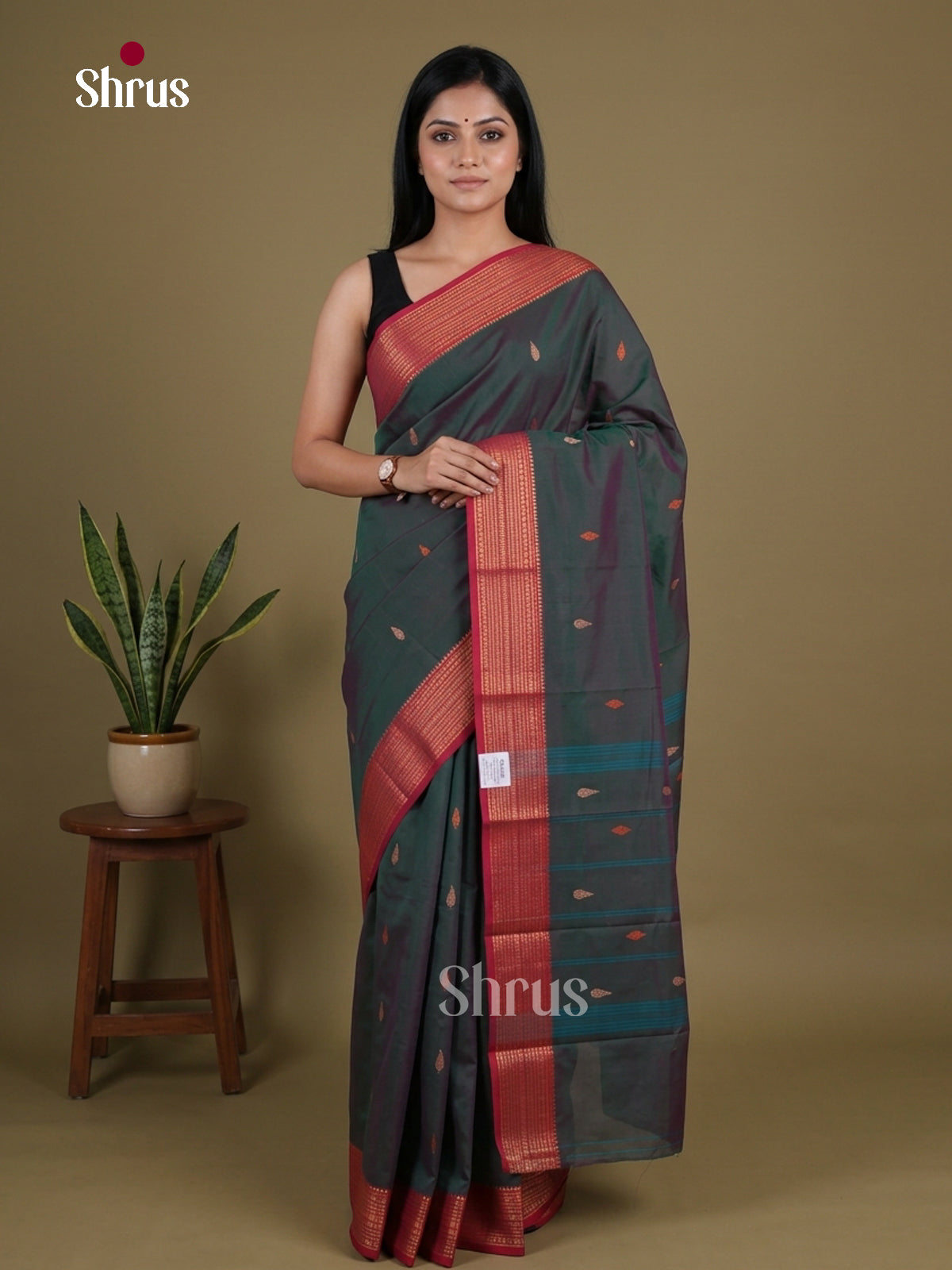 Chettinad Mix Cotton Saree - EGS11043