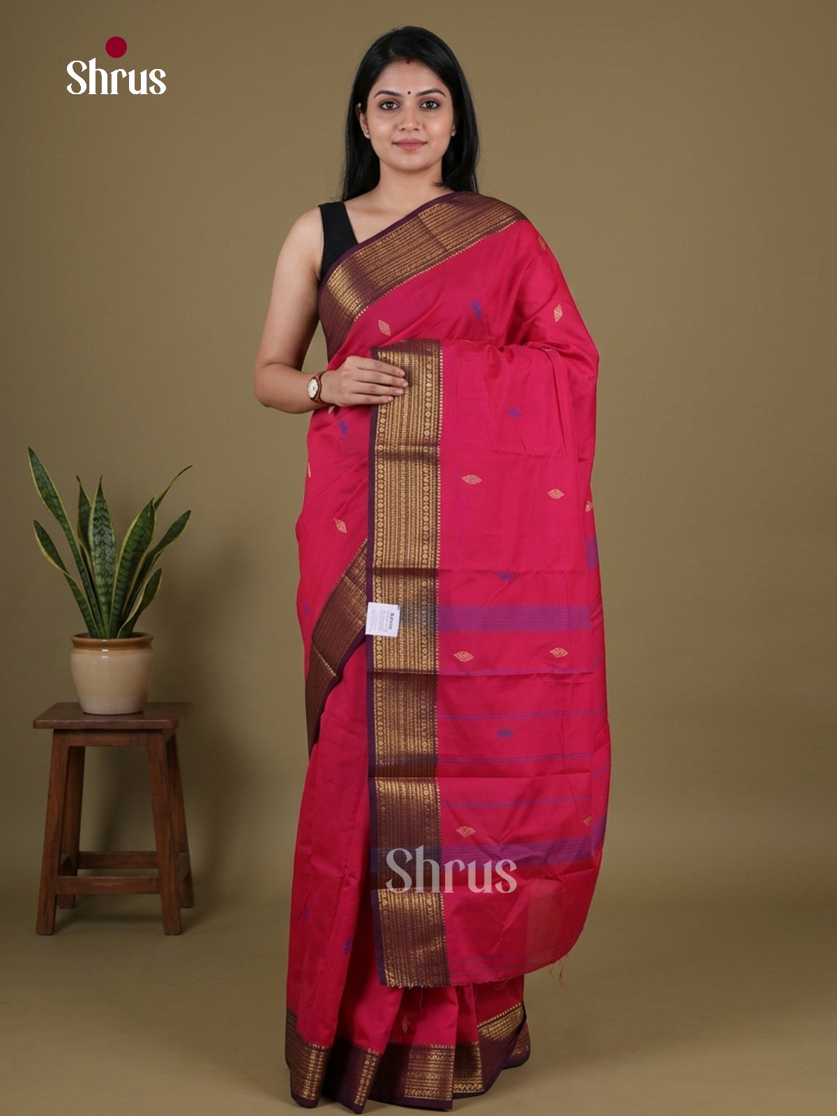 Chettinad Mix Cotton Saree - EGS11044