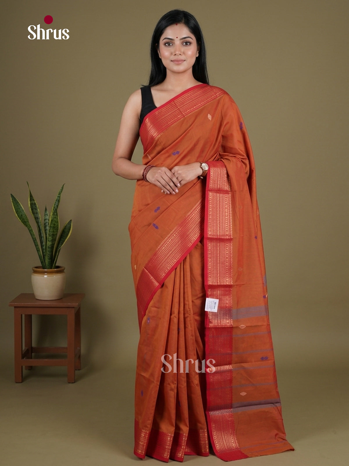Chettinad Mix Cotton Saree - EGS11045