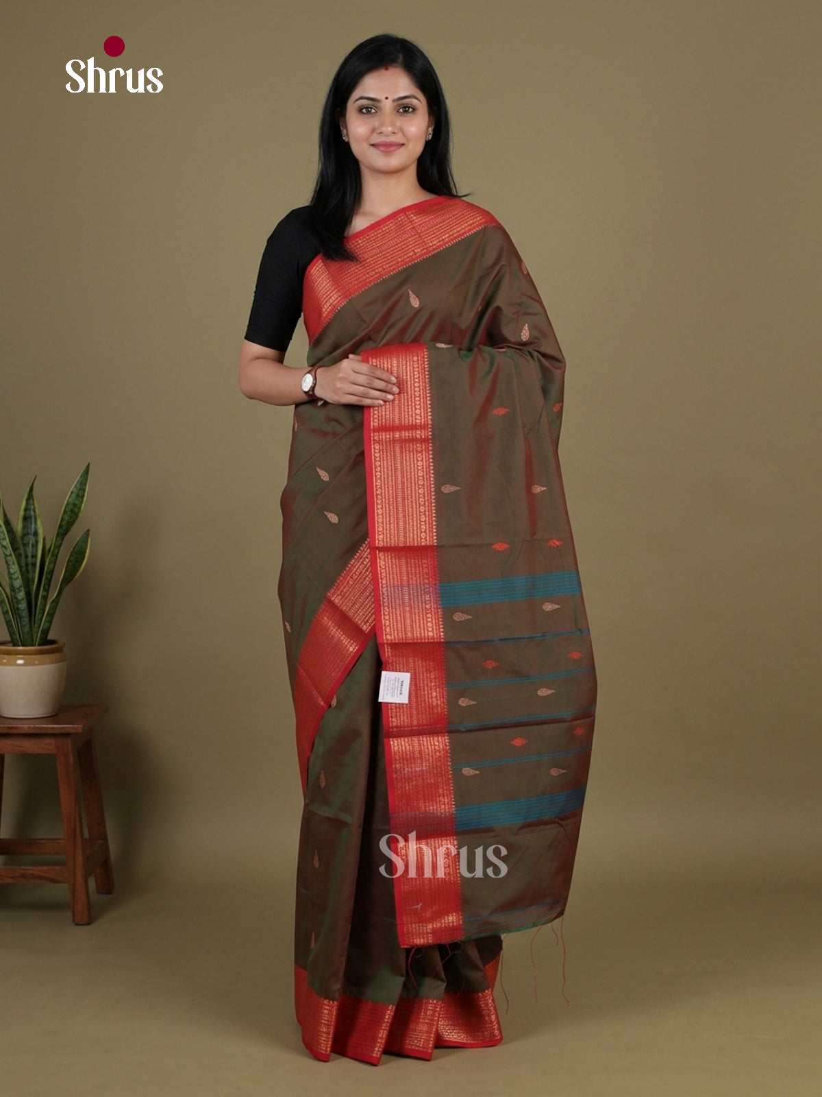 Chettinad Mix Cotton Saree - EGS11046