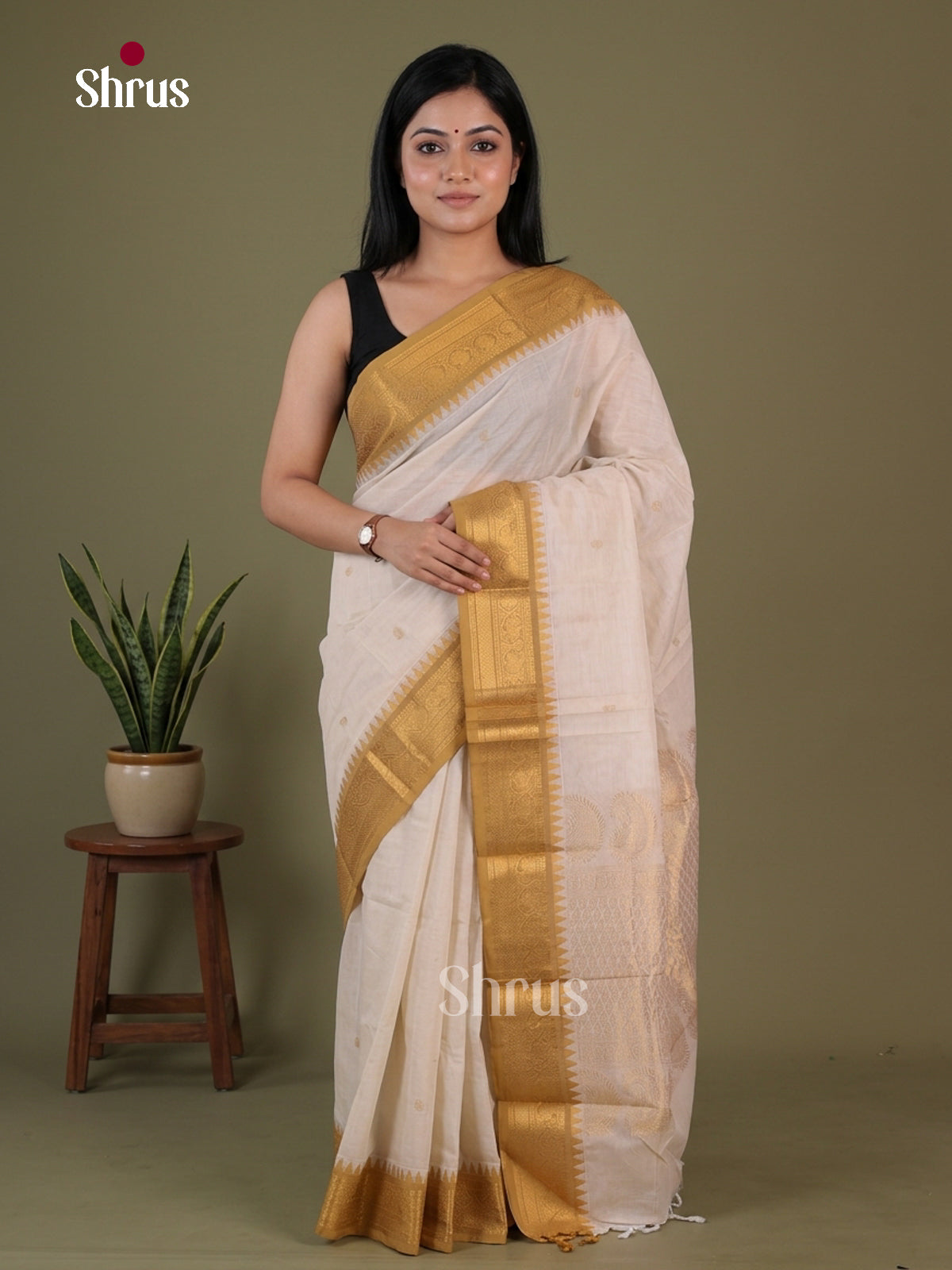 Chettinad Cotton Saree - EGS11051