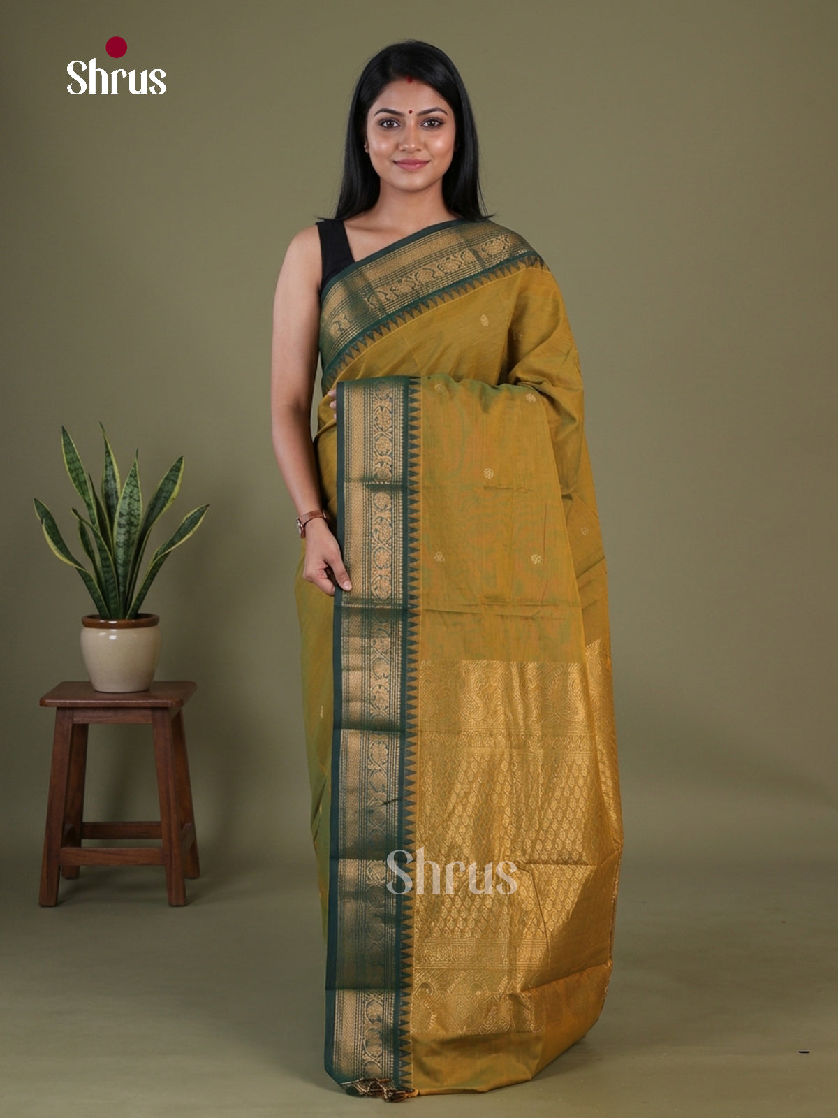 Chettinad Cotton Saree - EGS11053