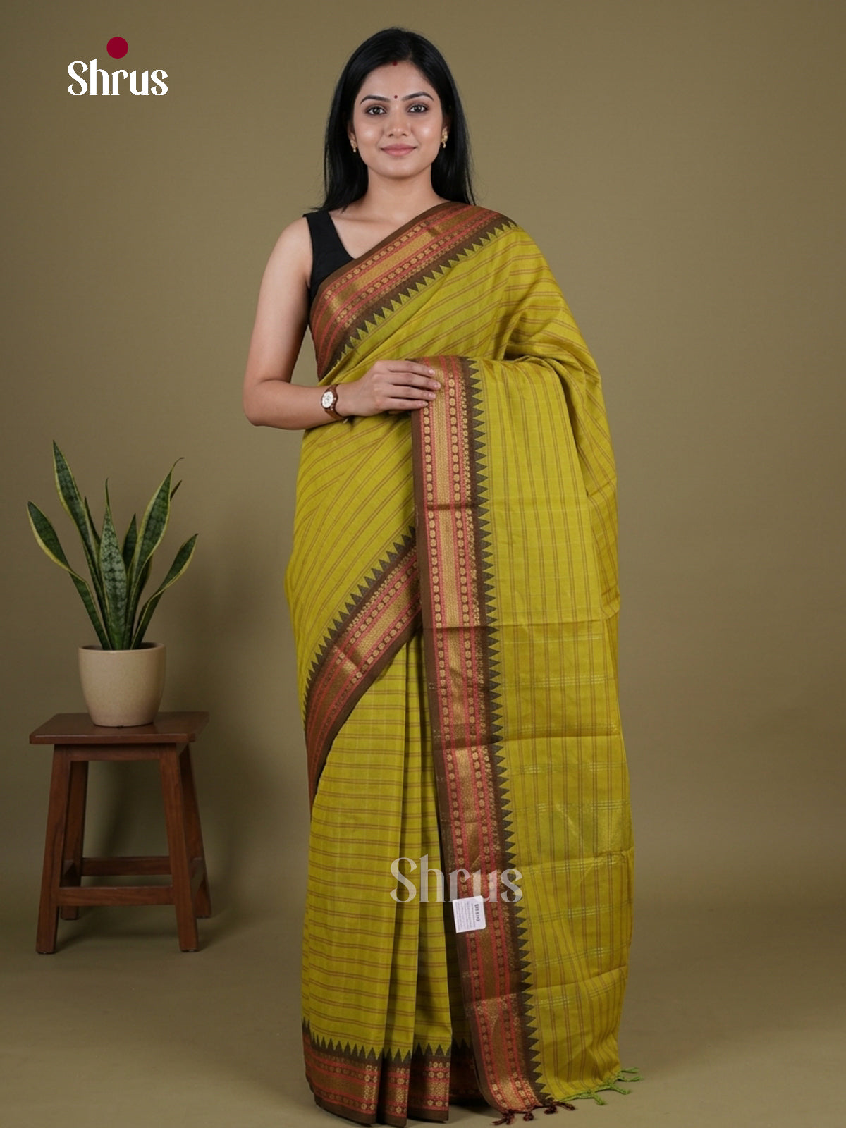 Chettinad Cotton Saree - EGS11057