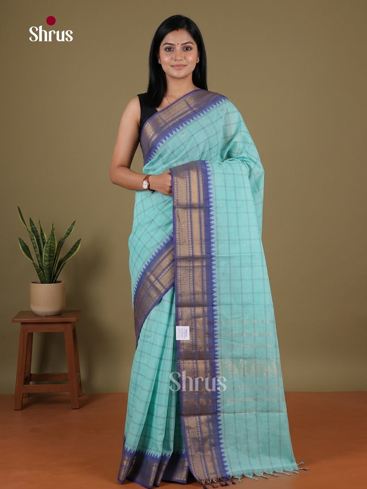 Chettinad Cotton Saree - EGS11064