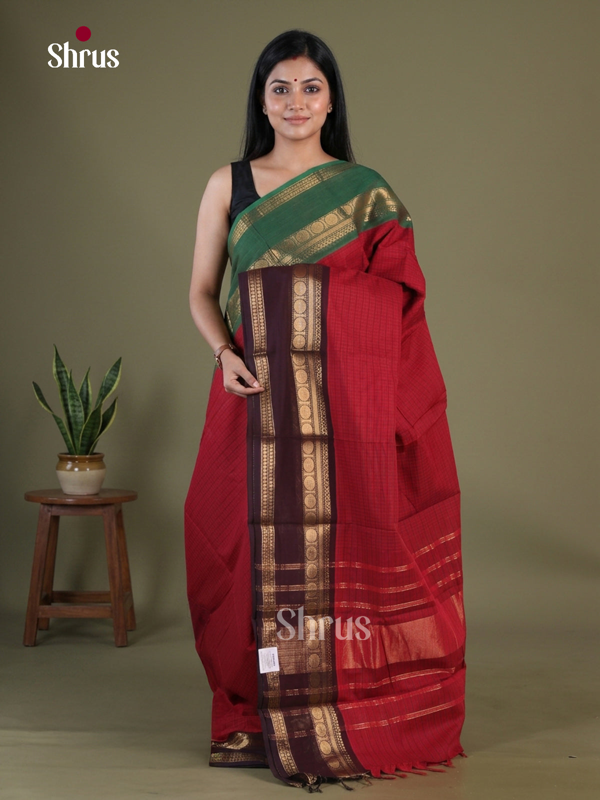 Chettinad Cotton Saree - EGS11078