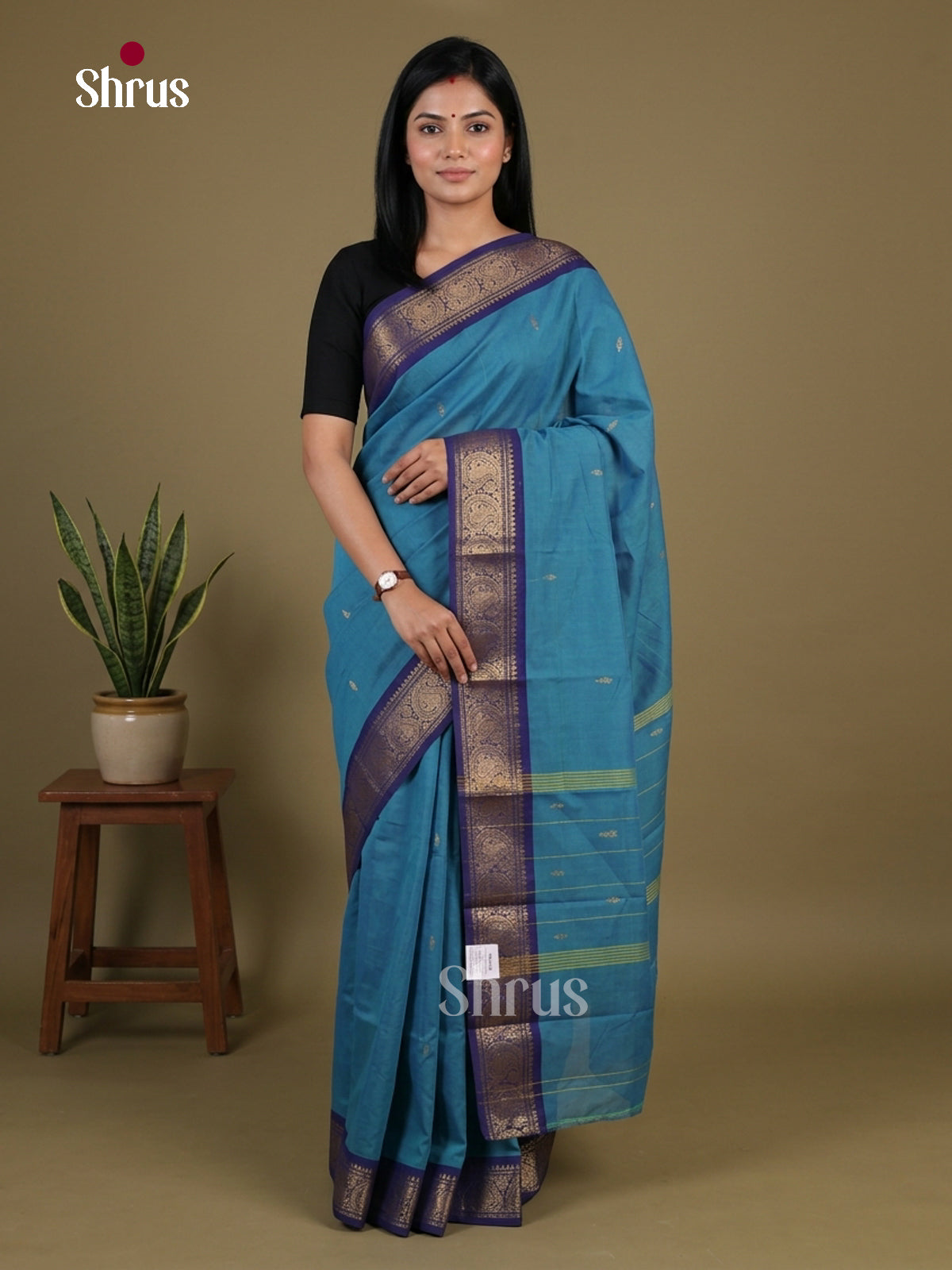 Chettinad Mix Cotton Saree - EGS11086