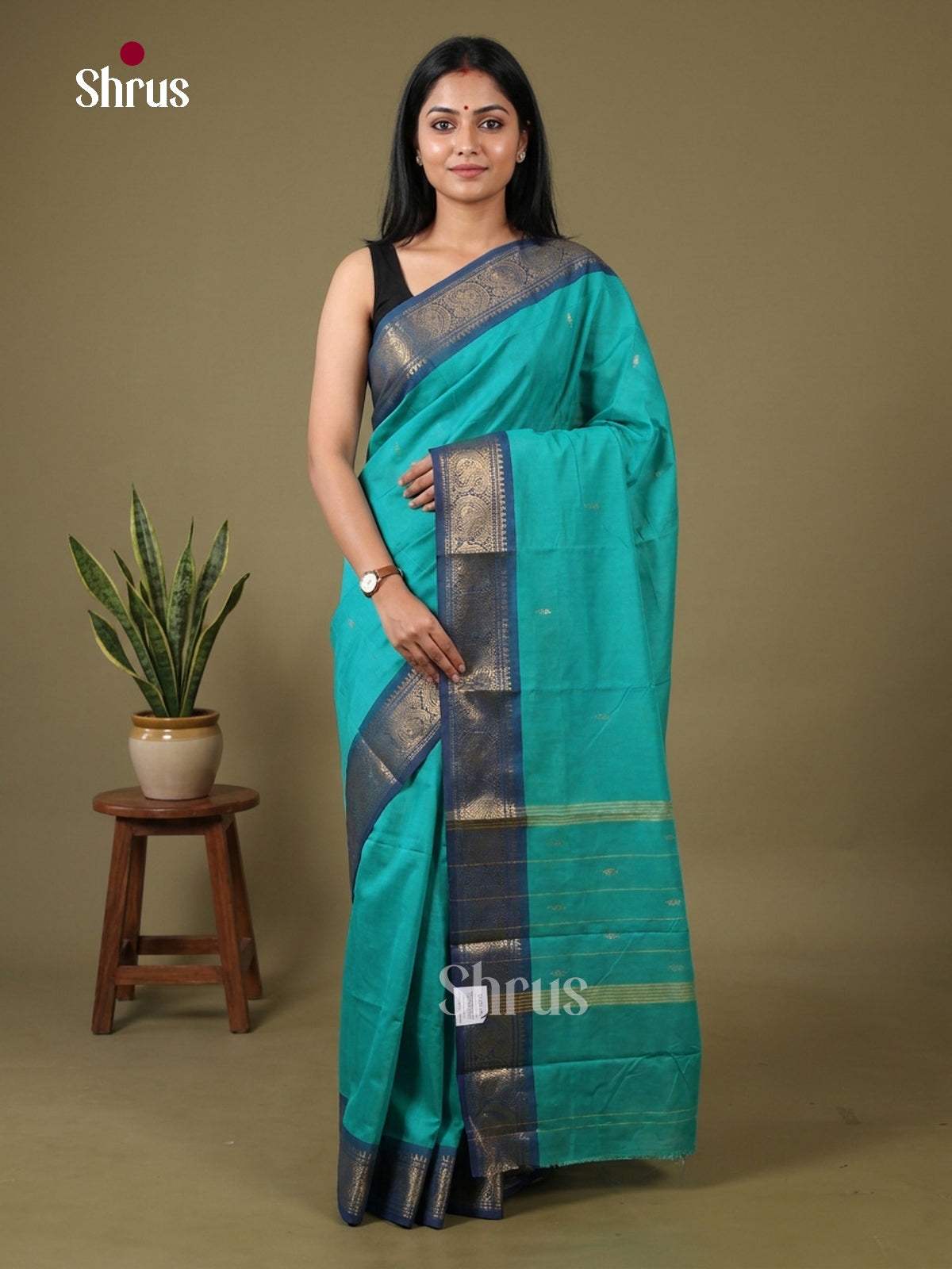 Chettinad Mix Cotton Saree - EGS11087