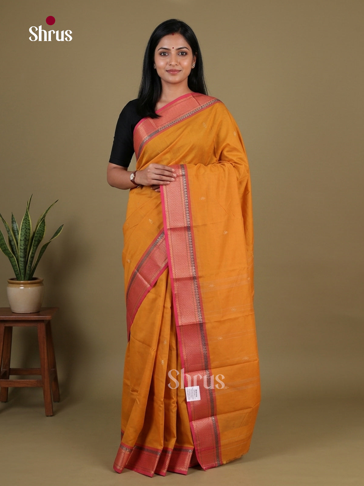 Chettinad Mix Cotton Saree - EGS11092