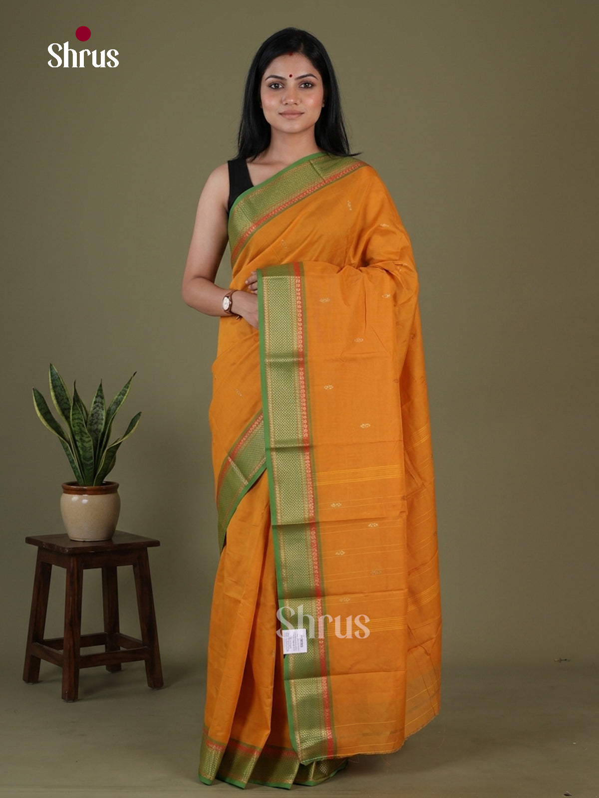 Chettinad Mix Cotton Saree - EGS11099