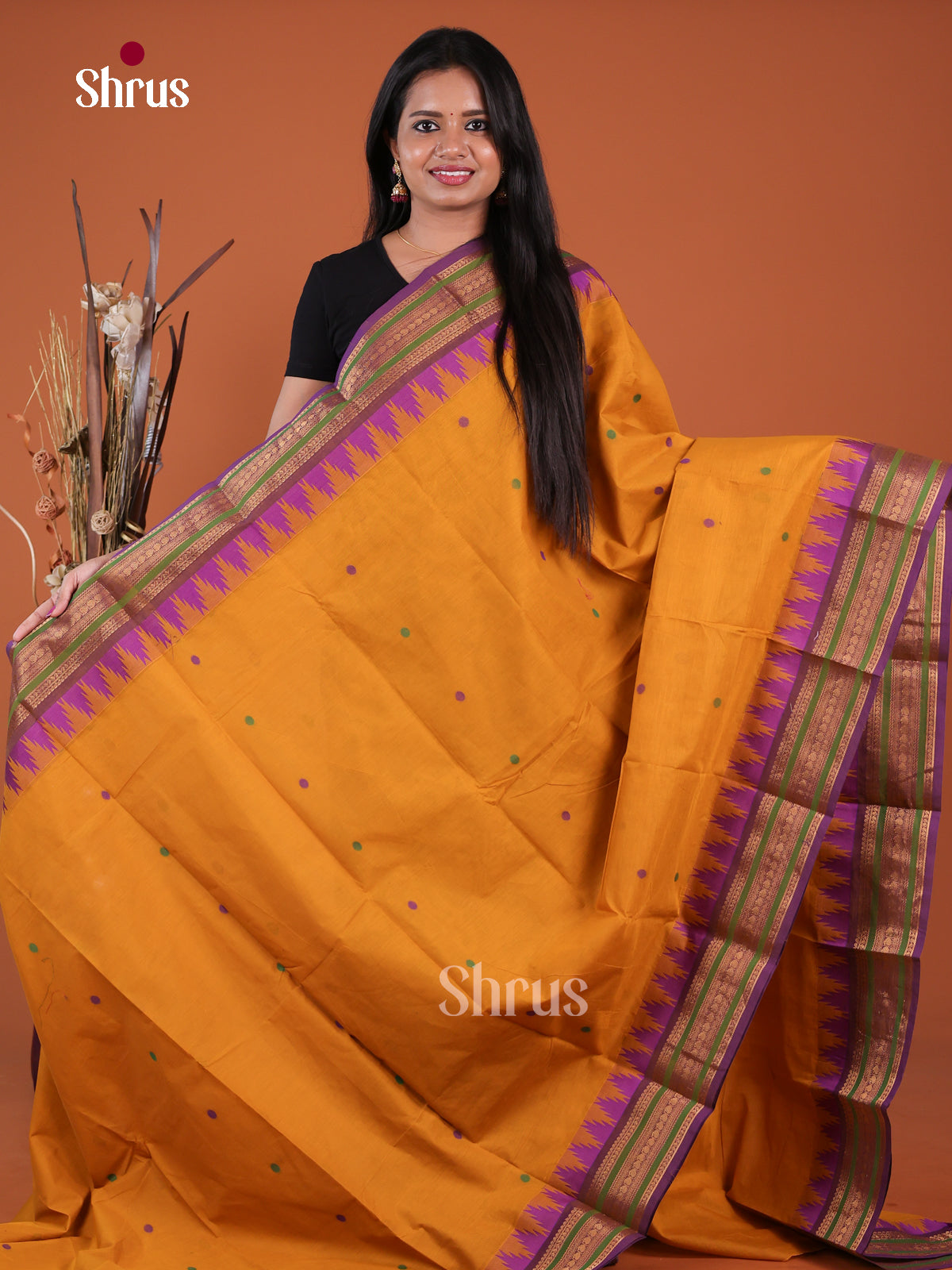 Chettinad Cotton Saree - EGS11103