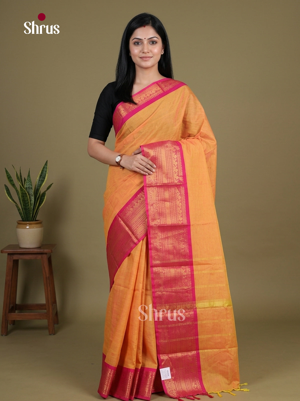 Chettinad Cotton Saree - EGS11119