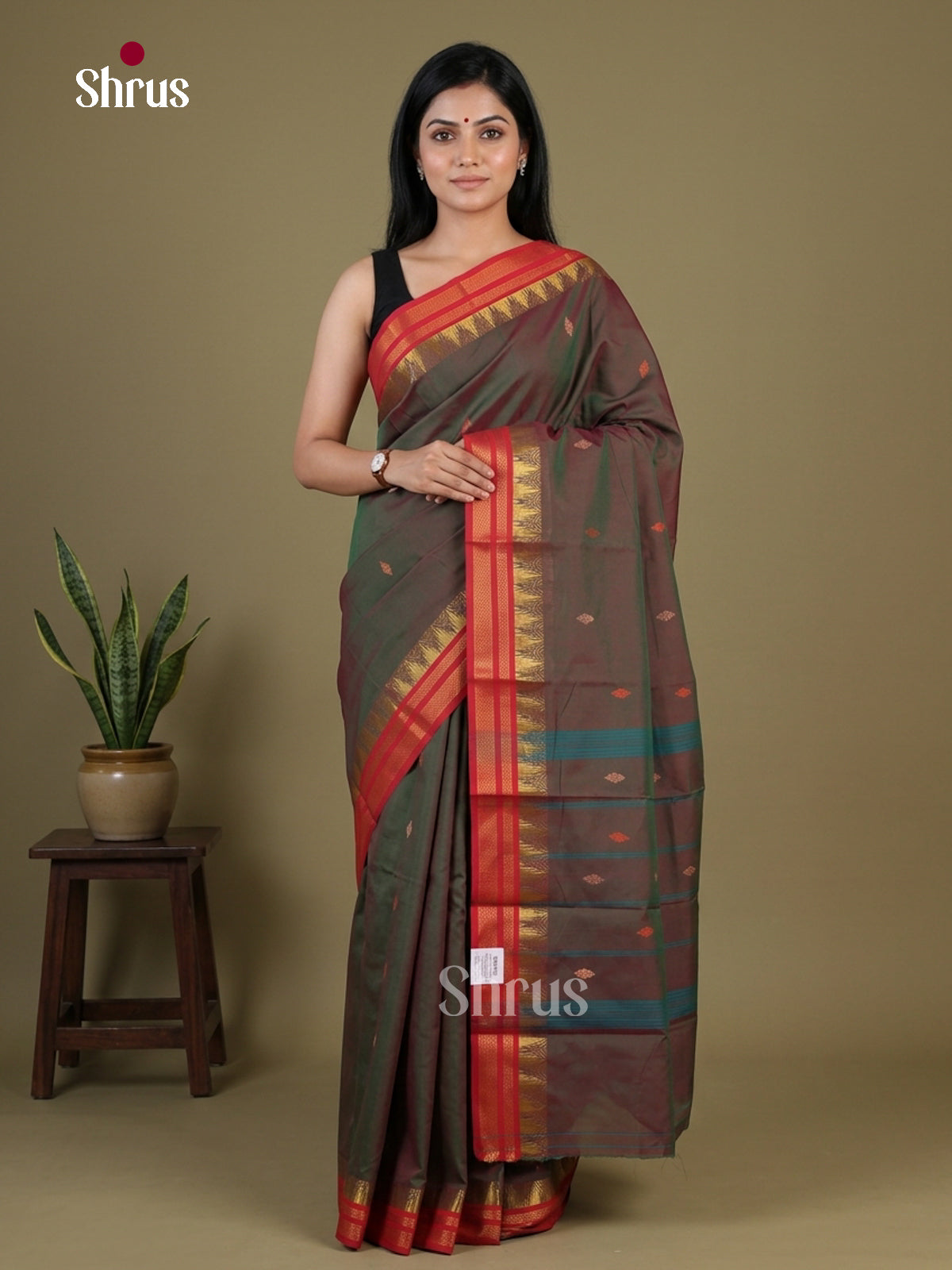Chettinad Mix Cotton Saree - EGS11158 - Shop on Shrus.com