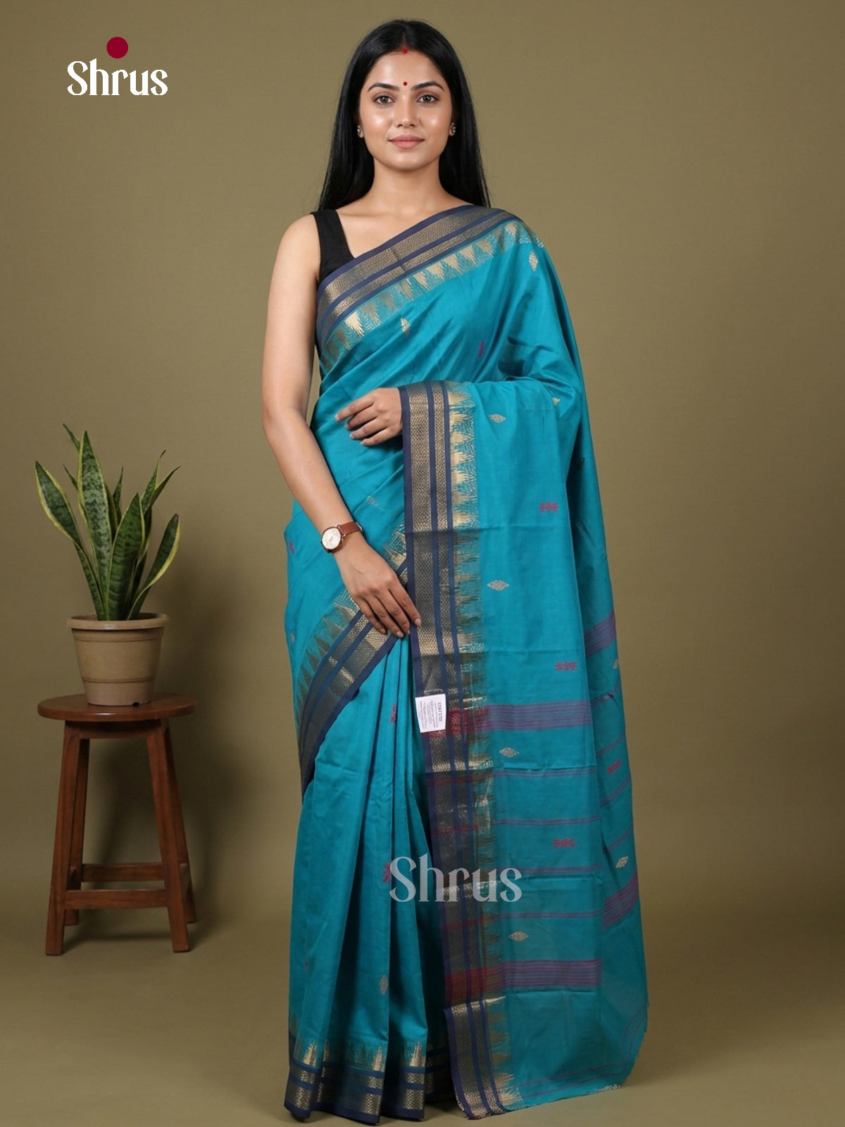 Chettinad Mix Cotton Saree - EGS11159