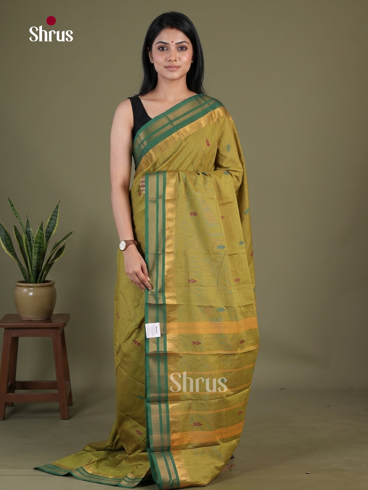 Chettinad Mix Cotton Saree - EGS11166