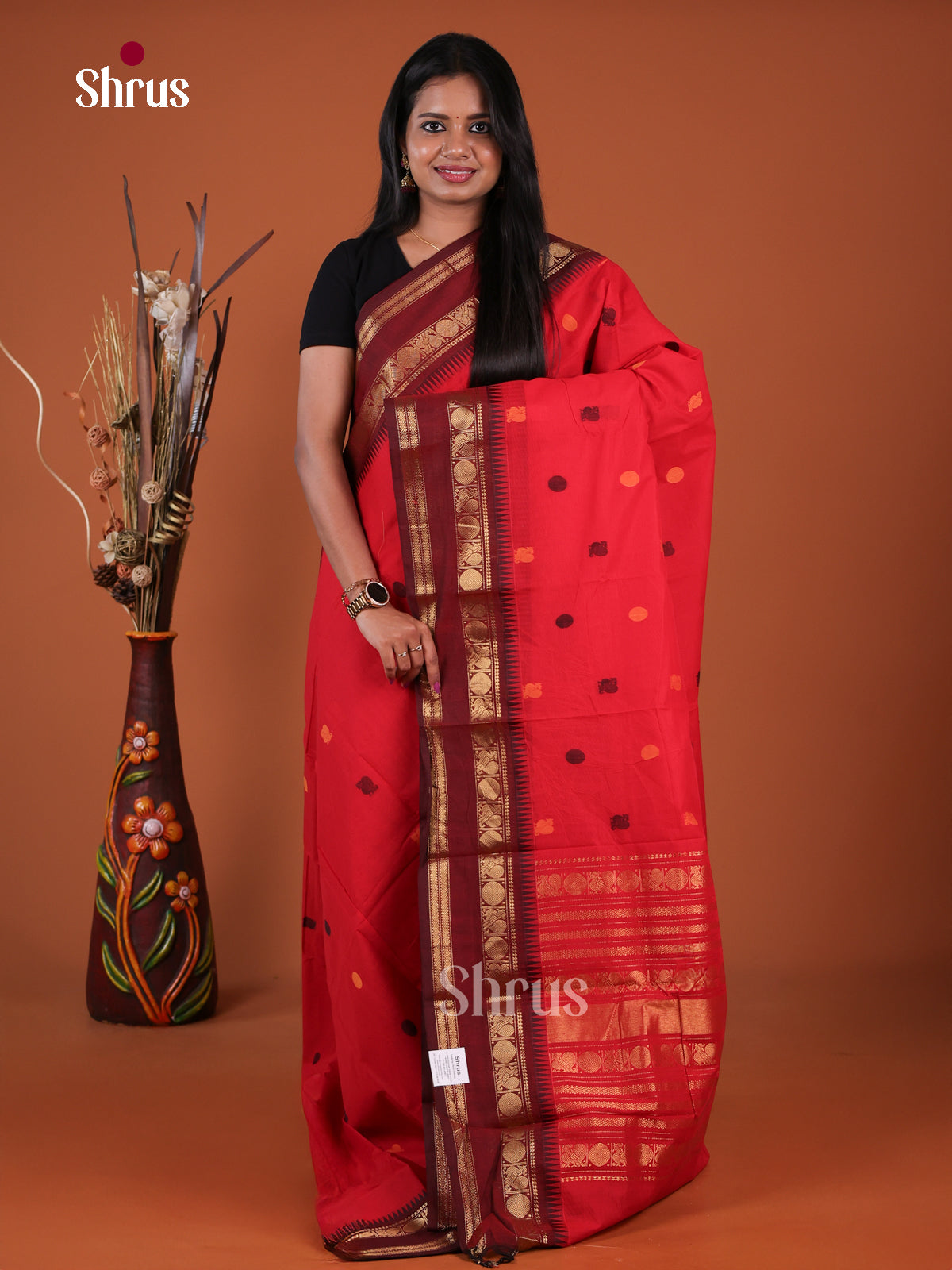 Chettinad Cotton Saree - EGS11193