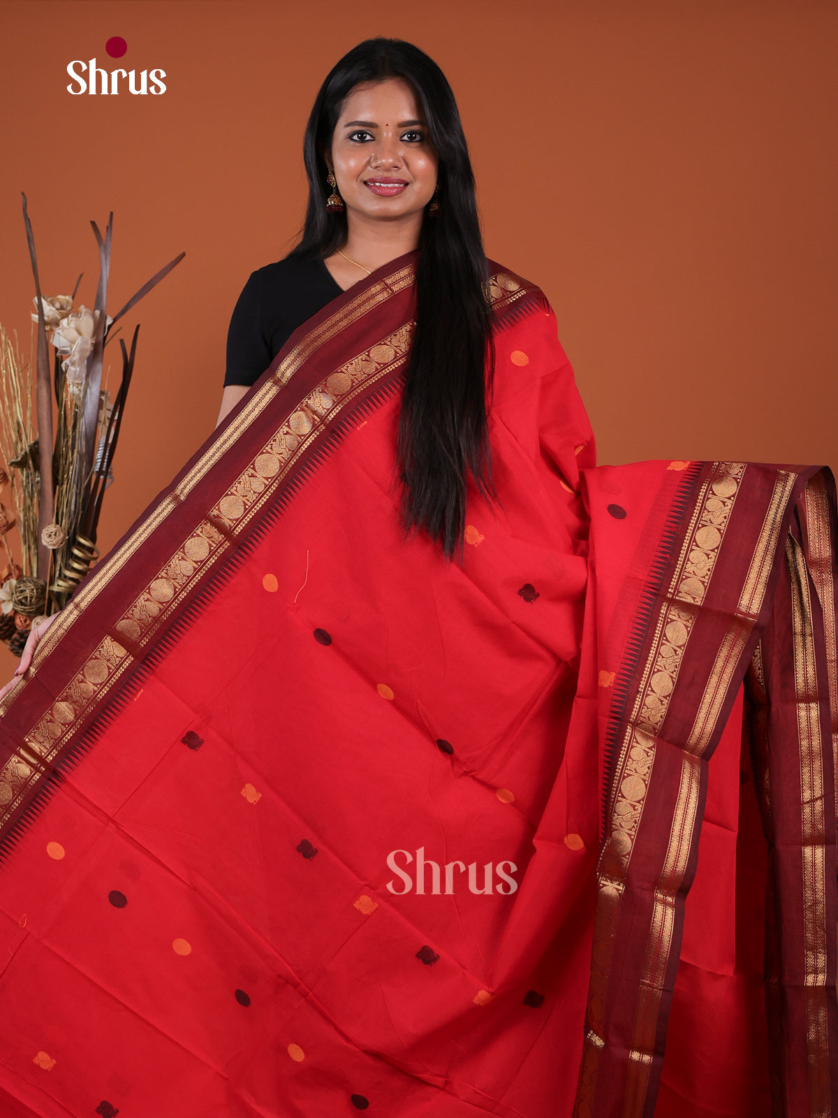 Chettinad Cotton Saree - EGS11193
