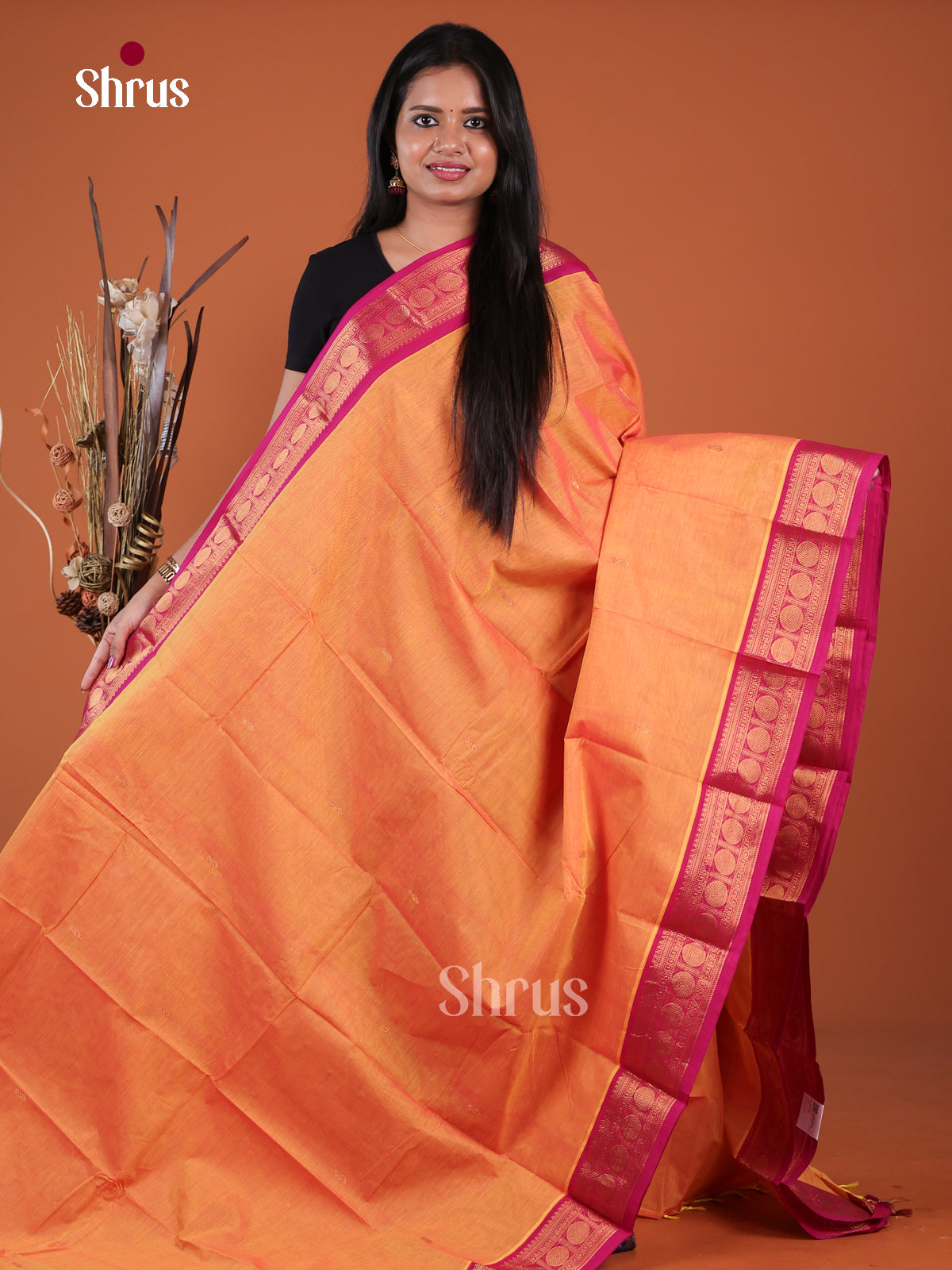 Chettinad Cotton Saree - EGS11197