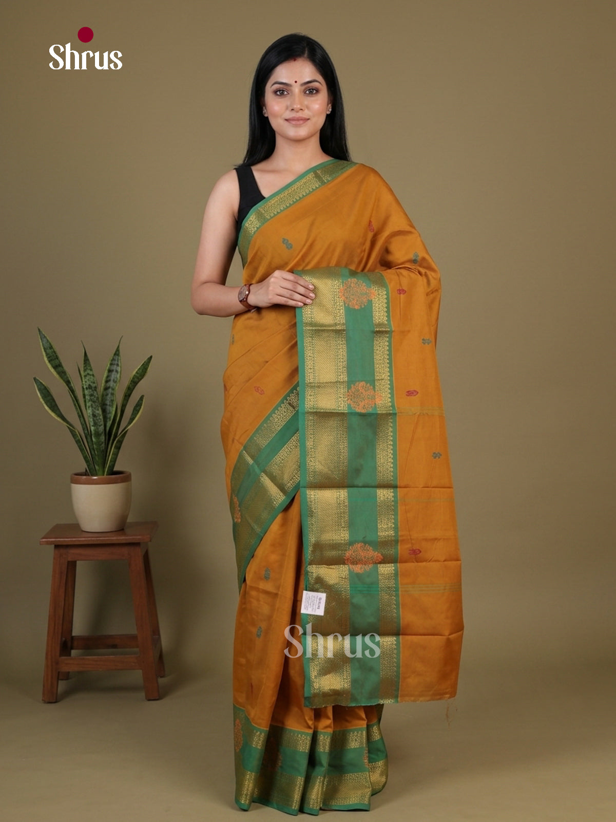 Chettinad Mix Cotton Saree - EGS11203 - Shop on Shrus.com