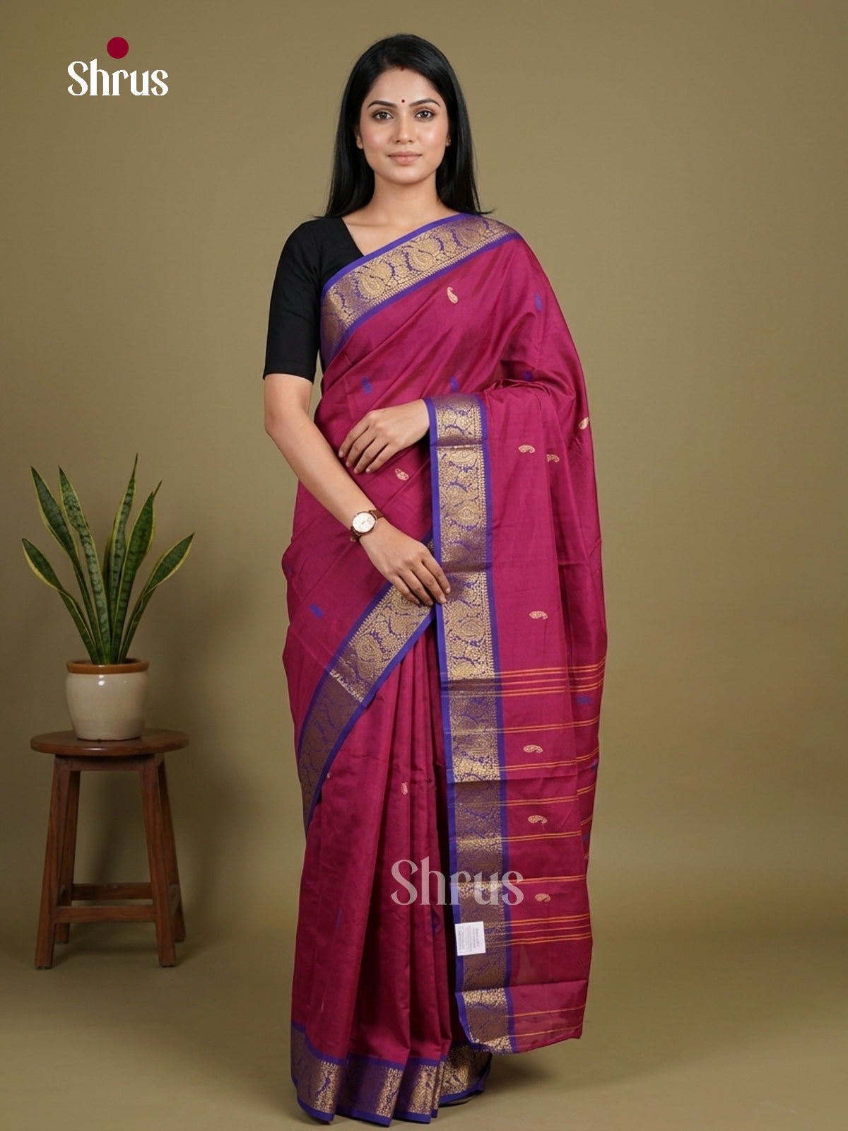 Chettinad Mix Cotton Saree - EGS11207