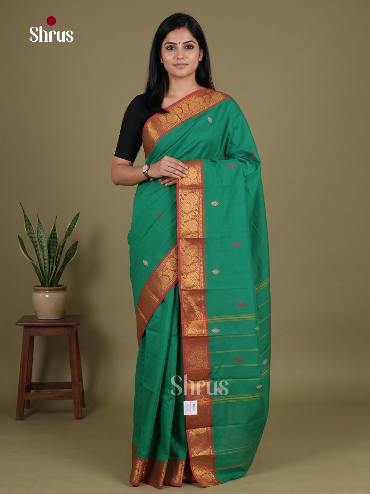 Chettinad Mix Cotton Saree - EGS11211