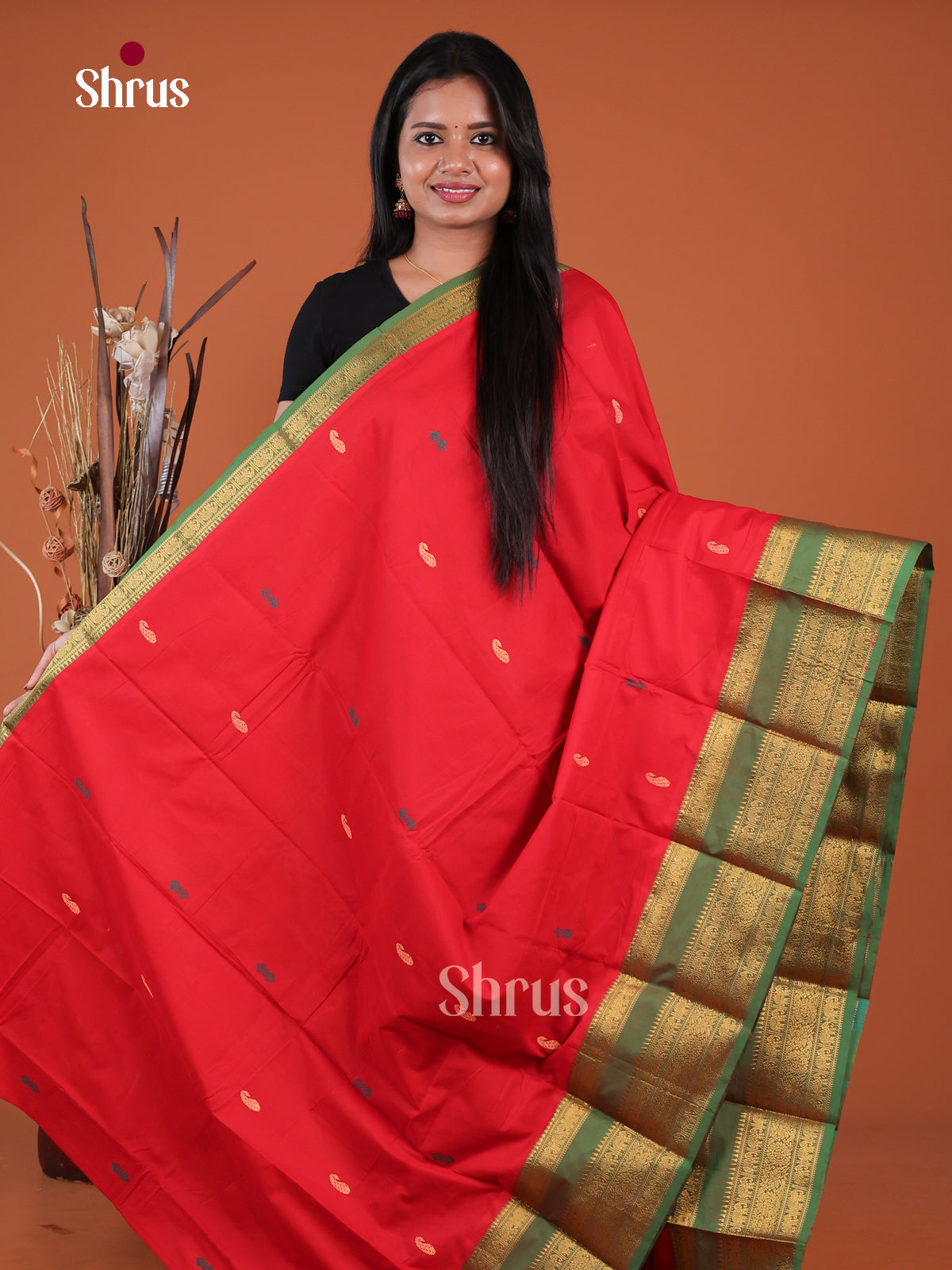 Chettinad Mix Cotton Saree - EGS13007