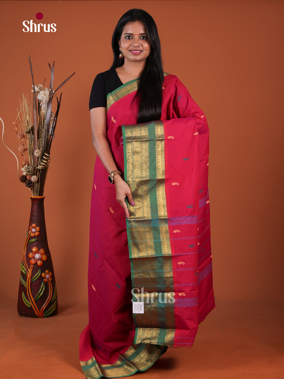 Chettinad Mix Cotton Saree - EGS13008