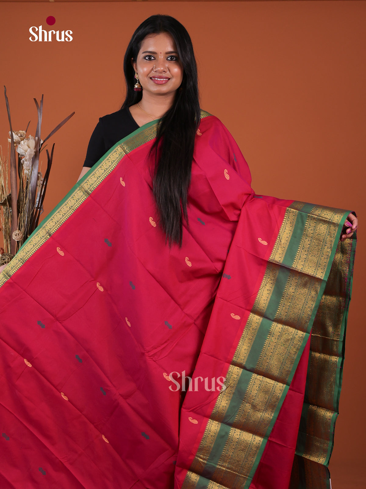 Chettinad Mix Cotton Saree - EGS13008