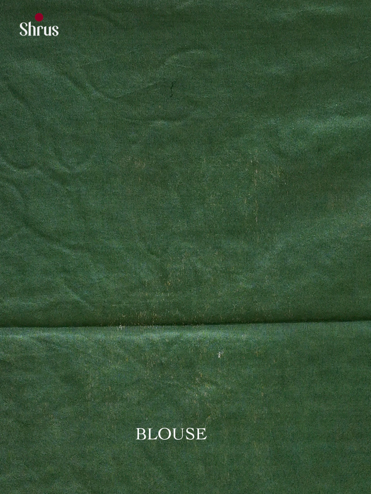 Kalamkari Applique Saree - EGS13020