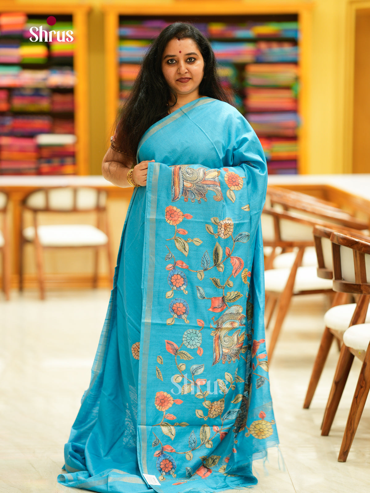 Kalamkari Applique Saree - EGS13022