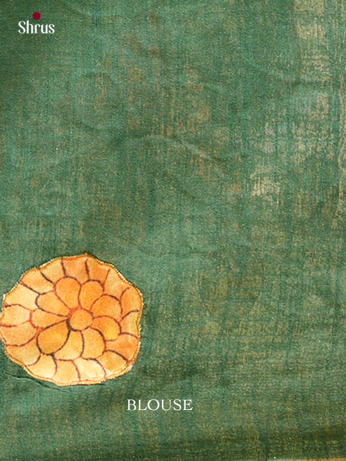 Kalamkari Applique Saree - EGS13023