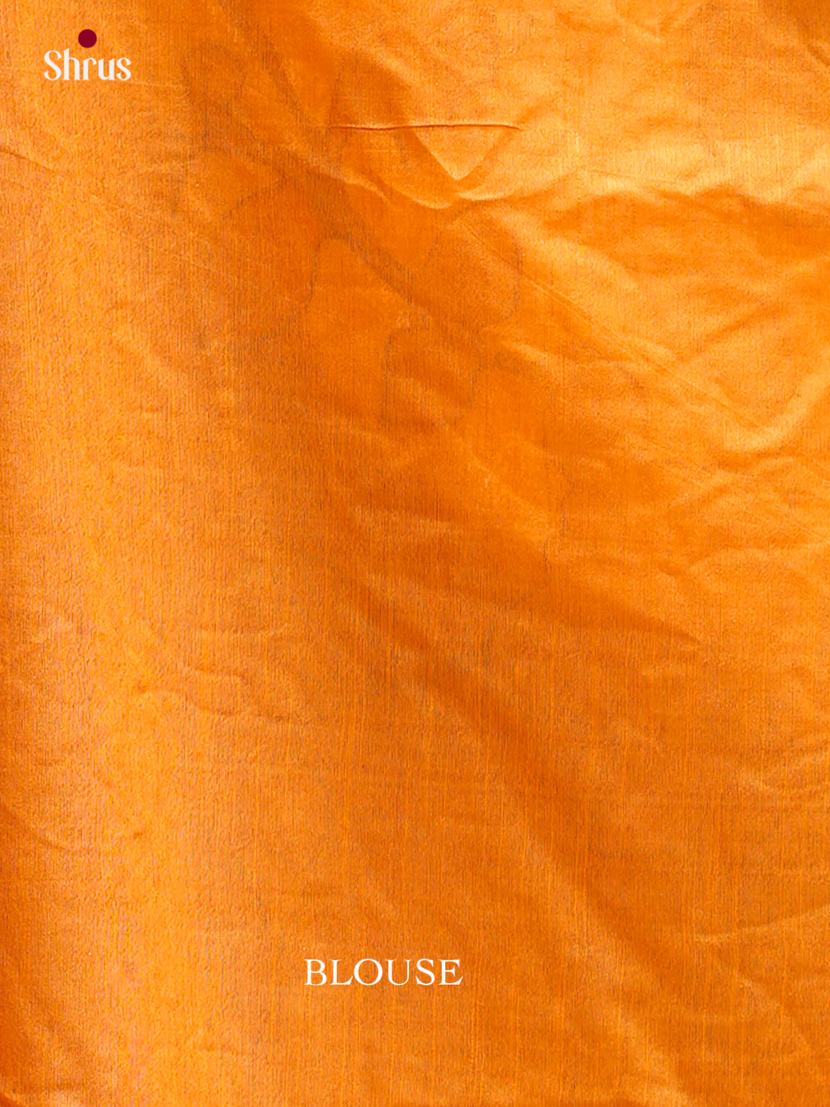 Kalamkari Applique Saree - EGS13024
