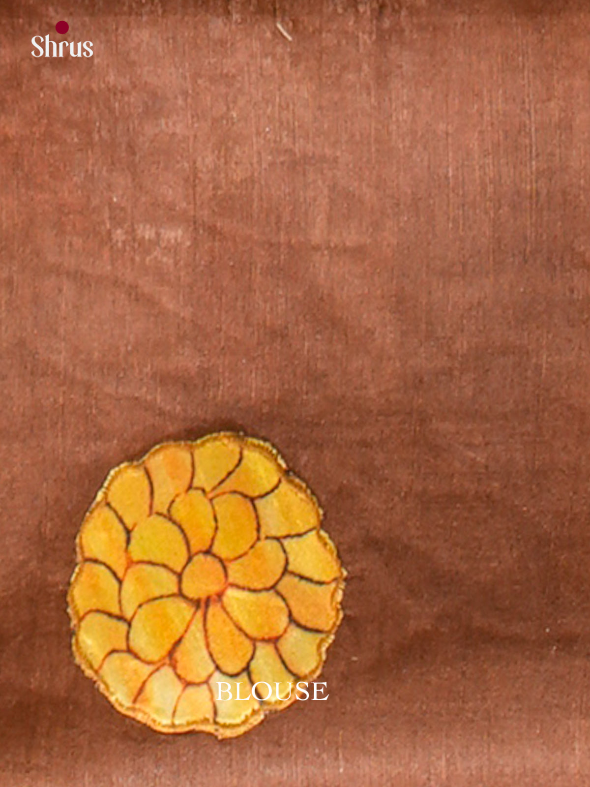 Kalamkari Applique Saree - EGS13027